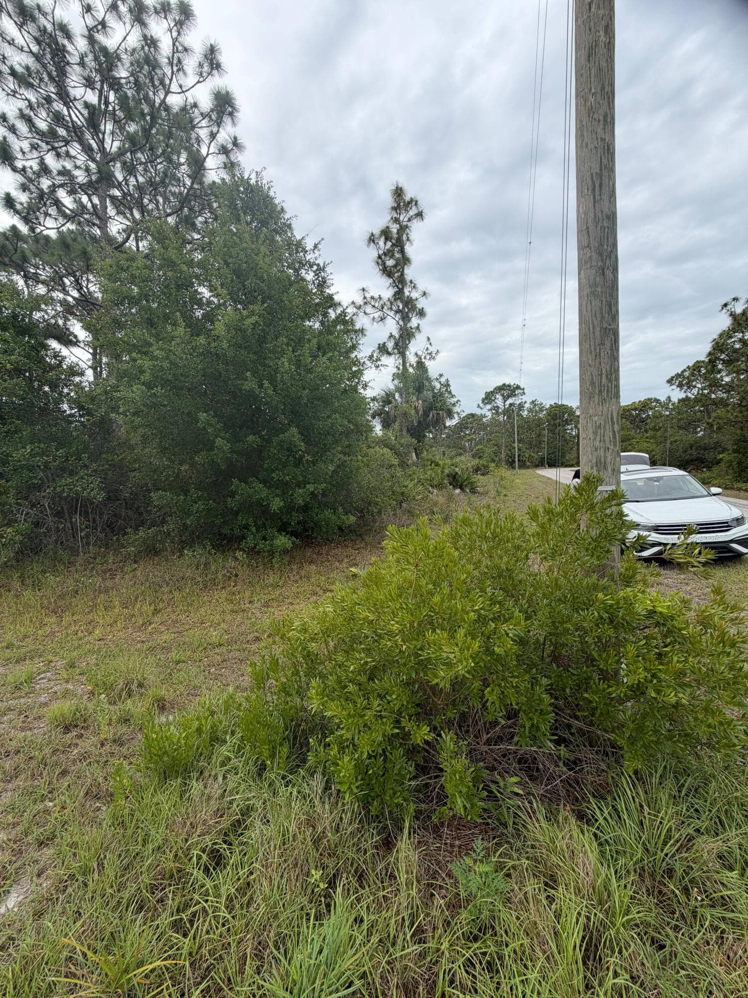 1170 Kingfisher Avenue NW, Lake Placid, FL 33852 — photo 4 of 8