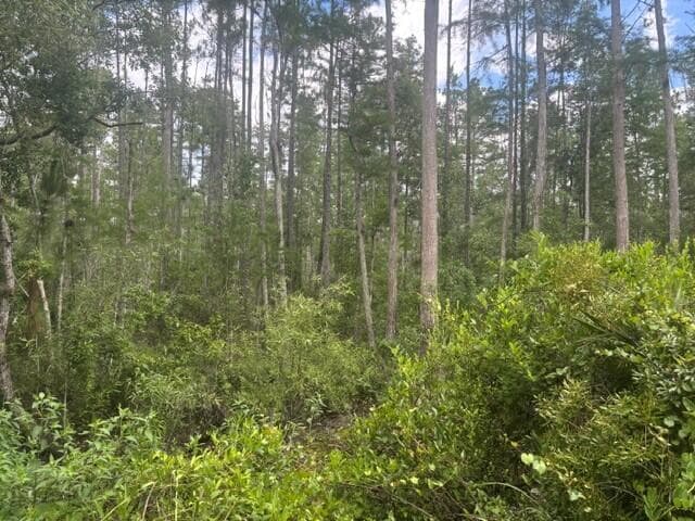 0 Water Road, Clermont, FL 33868 — photo 2 of 4