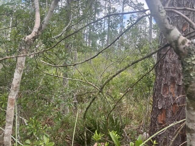 0 Water Road, Clermont, FL 33868 — photo 3 of 4