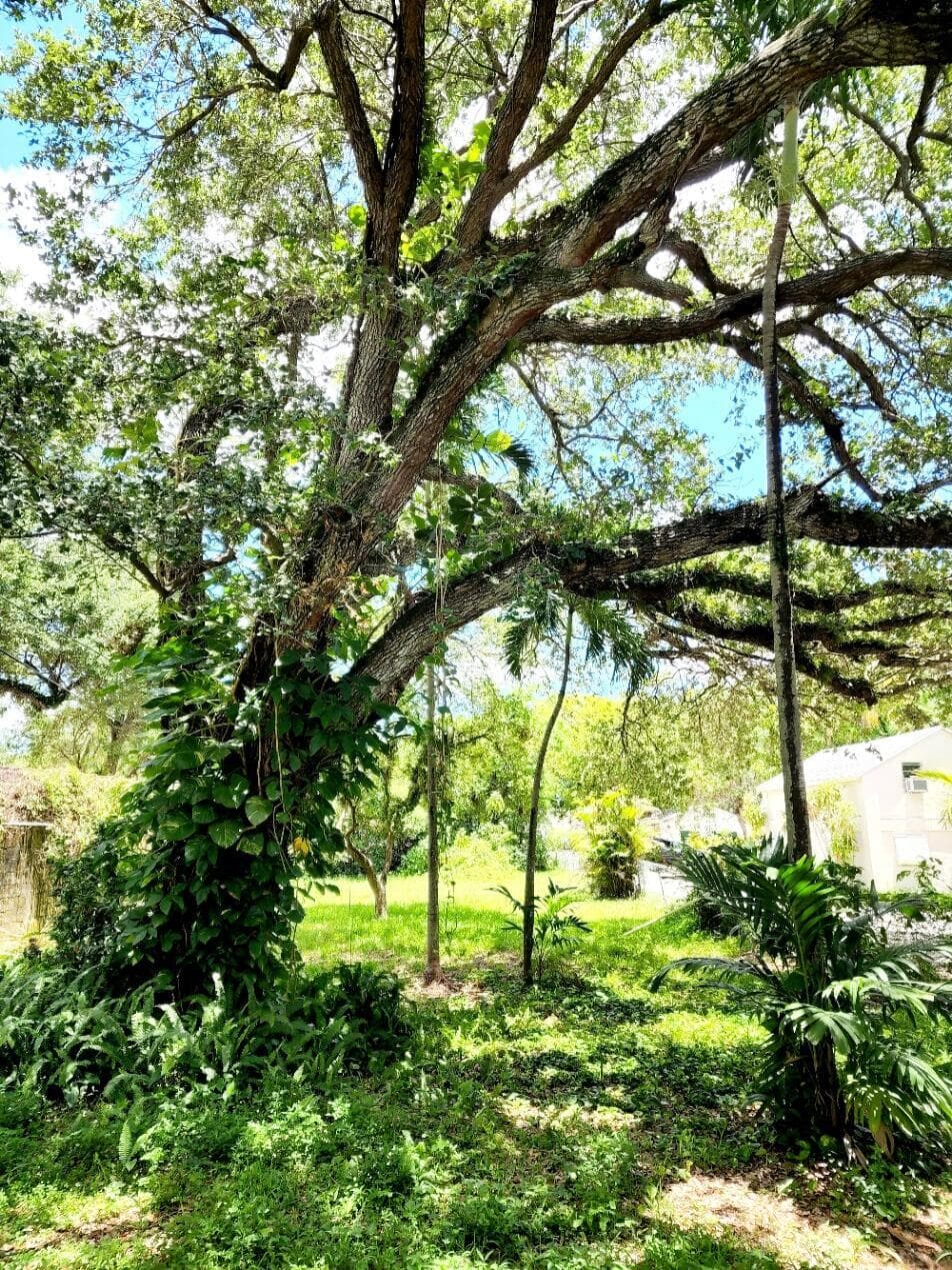 4124 N 32nd Court, Hollywood, FL 33021 — photo 15 of 24