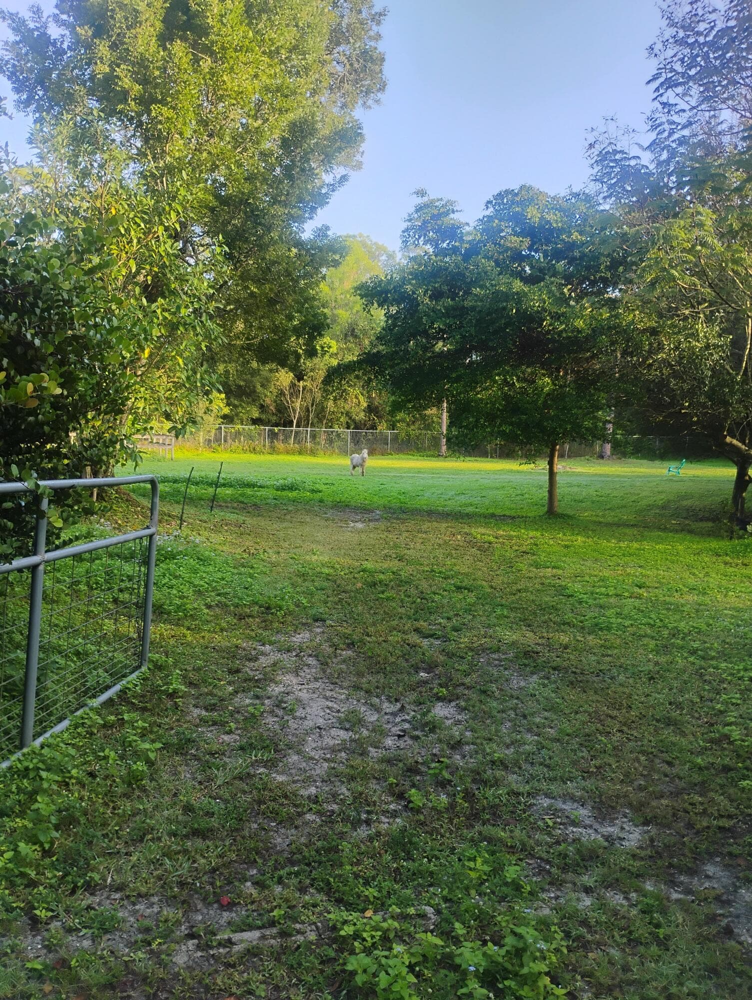 15531 42nd Road N, Loxahatchee Groves, FL 33470 — photo 9 of 62