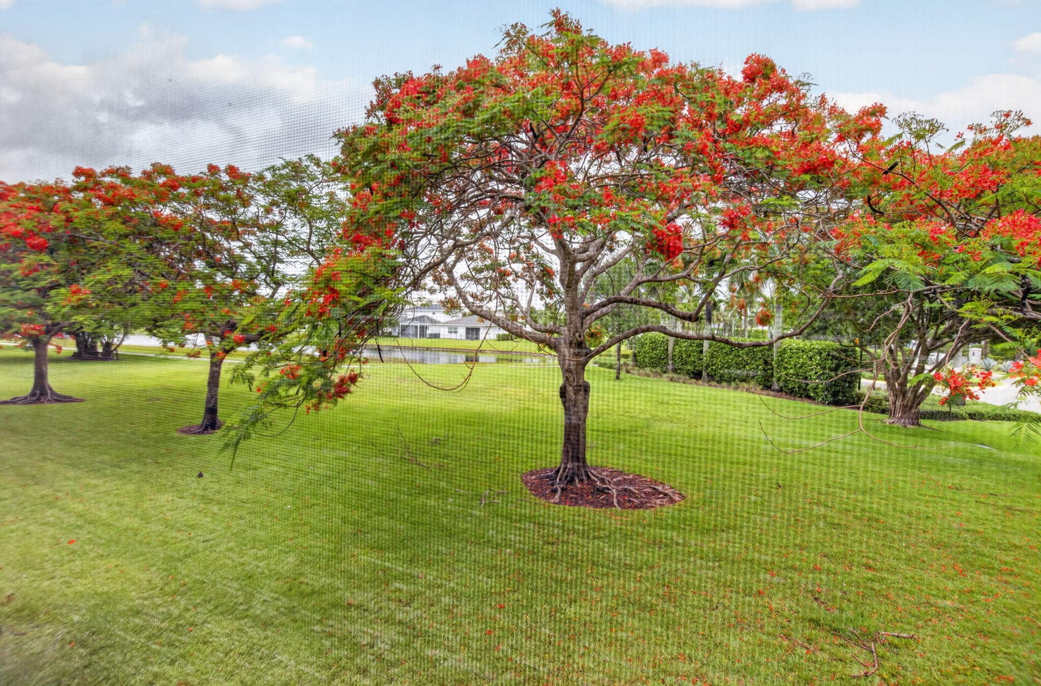 14701 Cumberland Drive 2080, Delray Beach, FL 33446 — photo 23 of 40