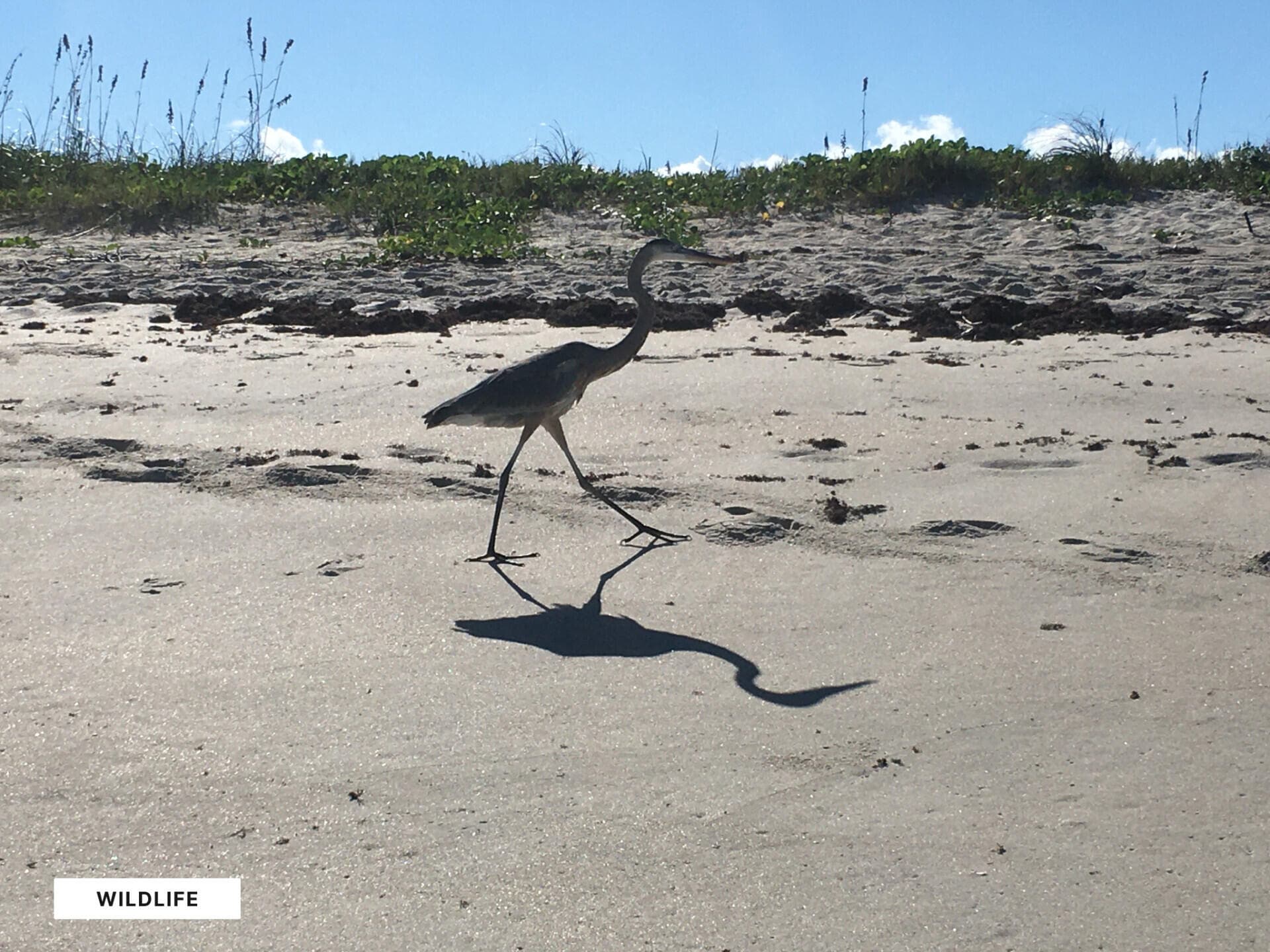 4221 N Highway A1a, Fort Pierce, FL 34949 — photo 9 of 16