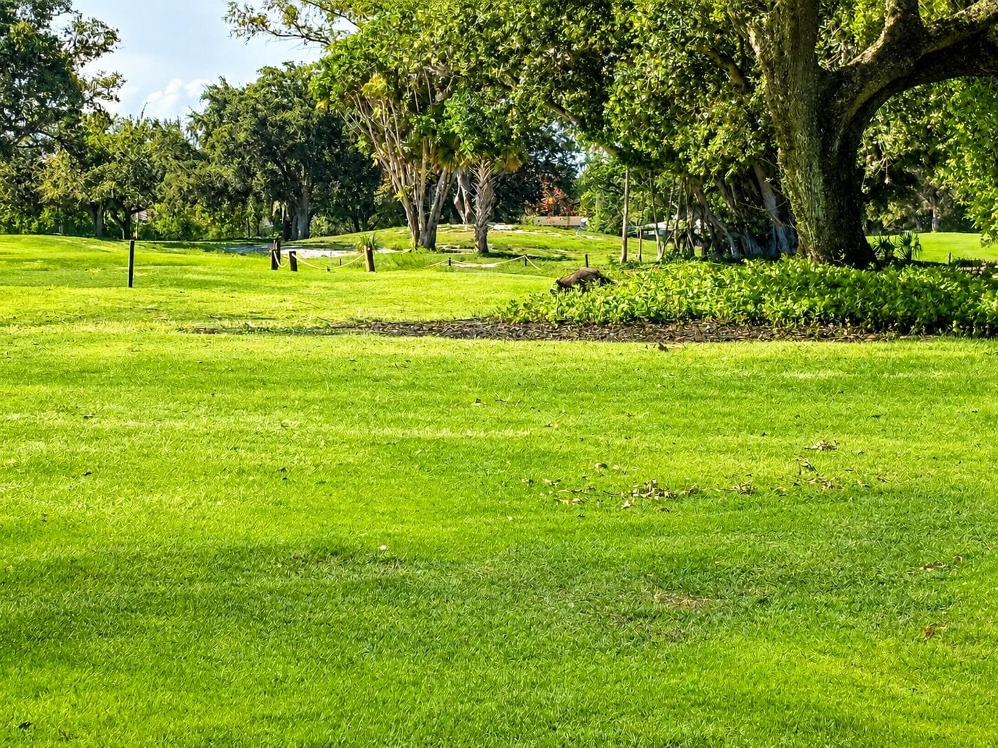 3300 N Palm Aire Drive 701, Pompano Beach, FL 33069 — photo 43 of 43
