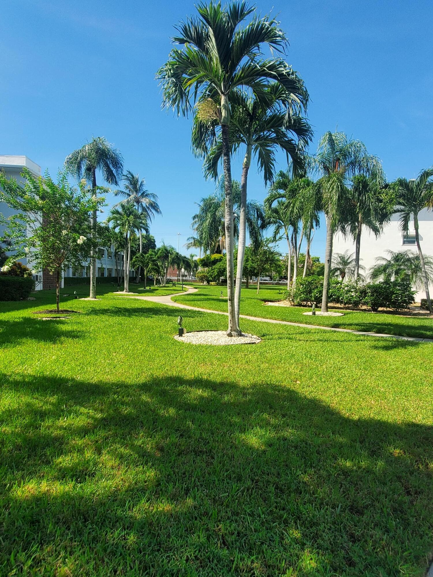 5203 NE 24th Terrace B108, Fort Lauderdale, FL 33308 — photo 43 of 44