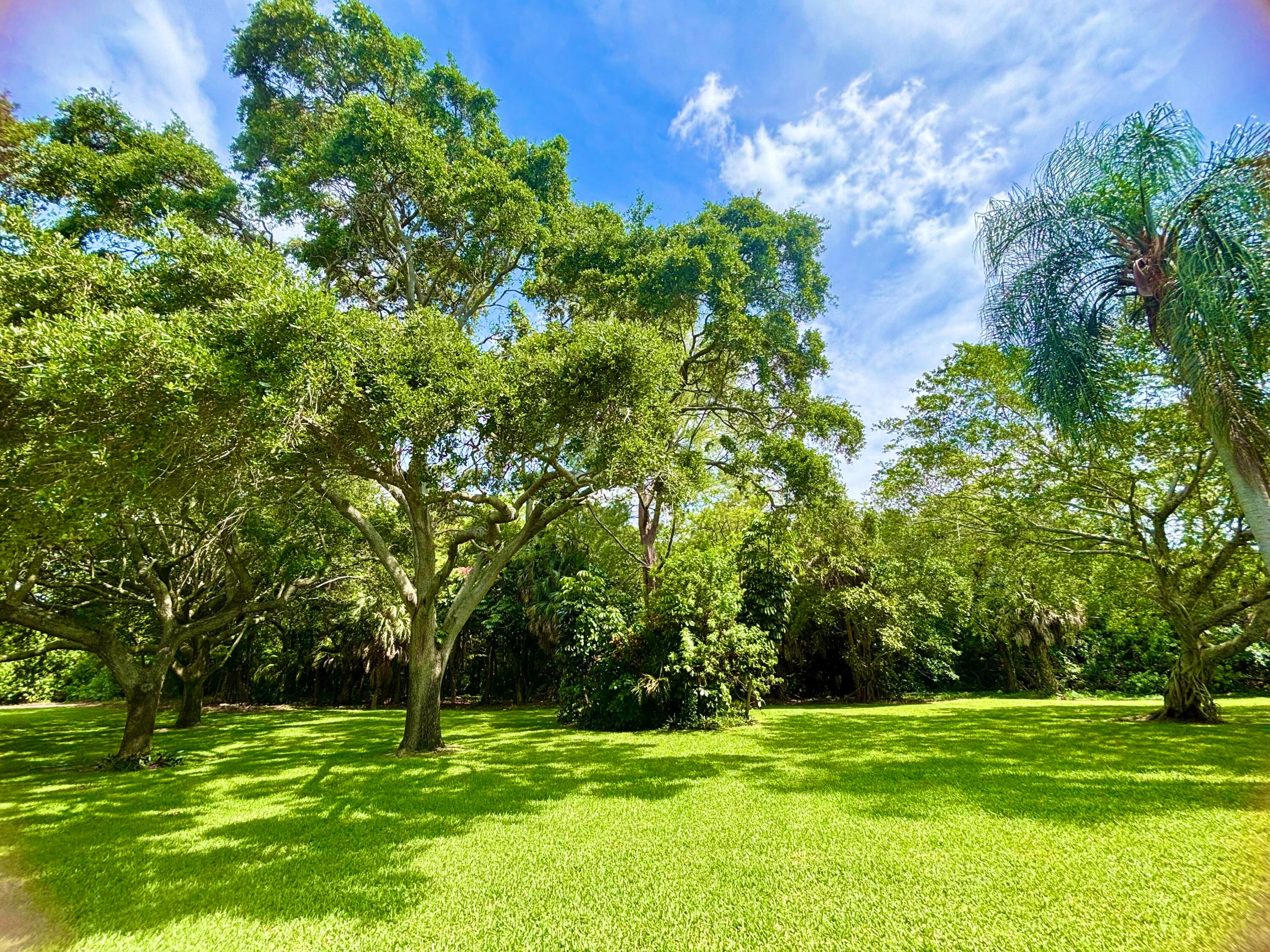 2069 Oakridge F Unit 2069, Deerfield Beach, FL 33442 — photo 23 of 64