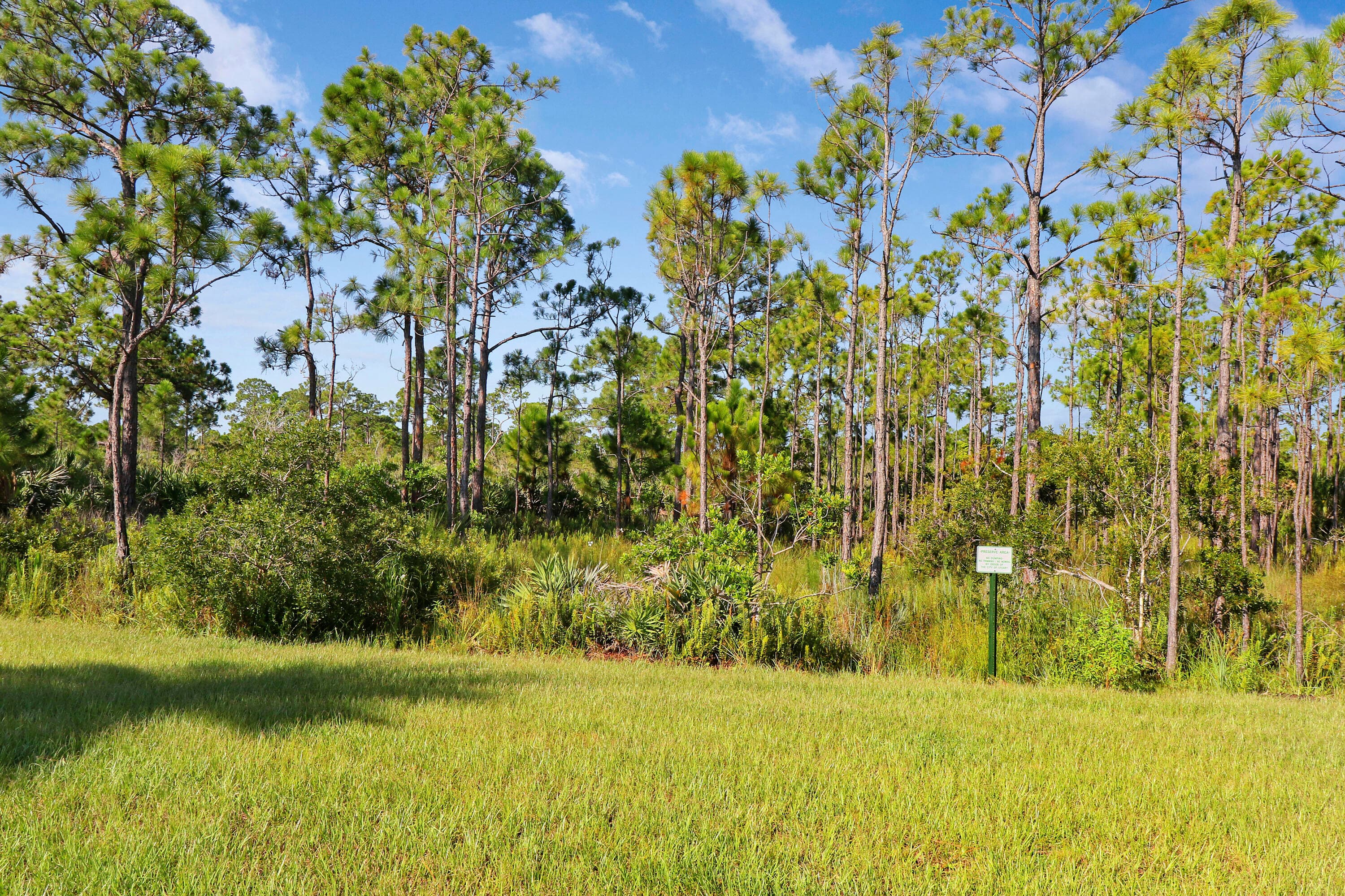 261 Osprey Preserve Boulevard, Jensen Beach, FL 34957 — photo 40 of 41