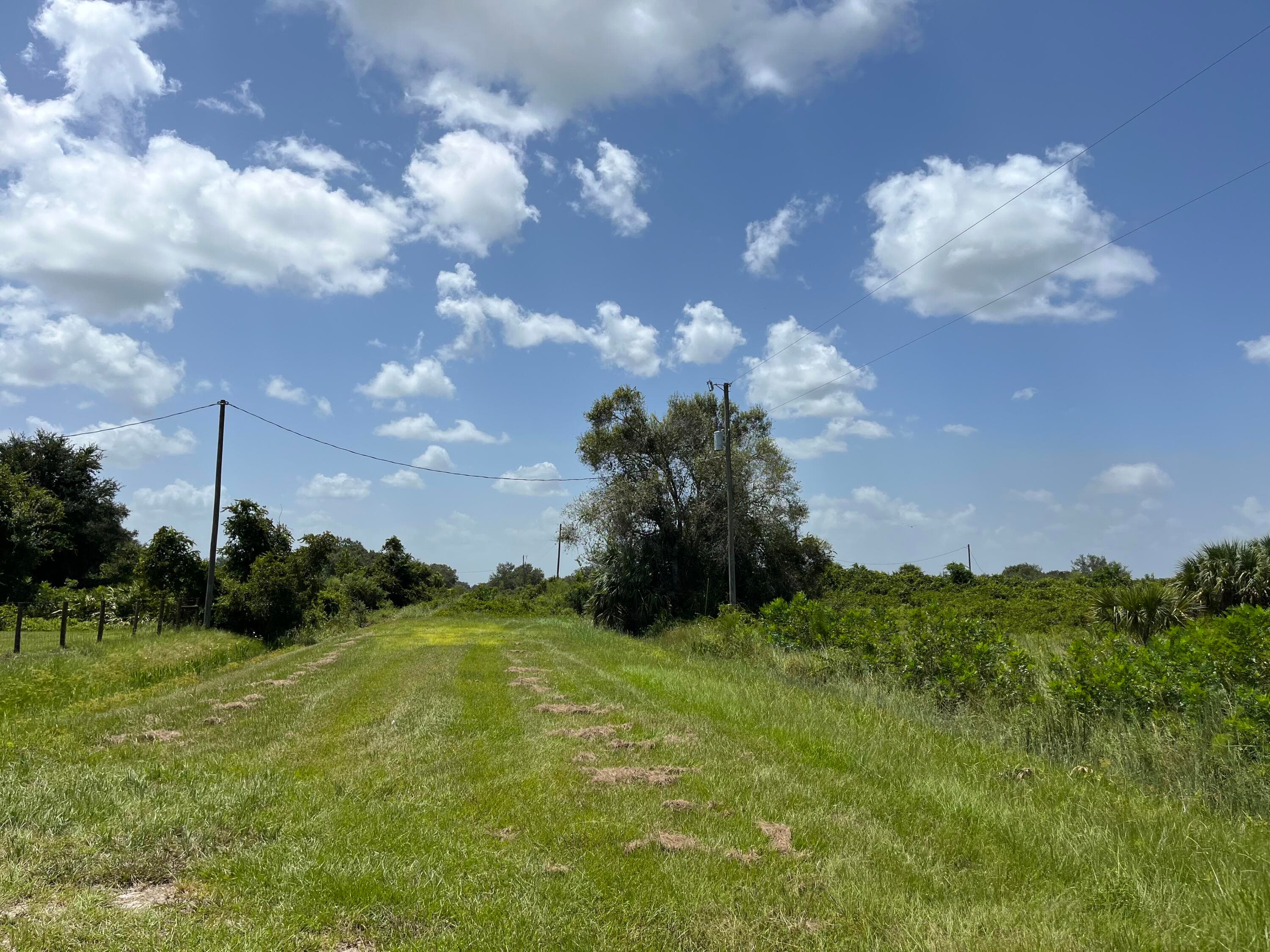 18325 NW 278th Street, Okeechobee, FL 34972 — photo 9 of 19