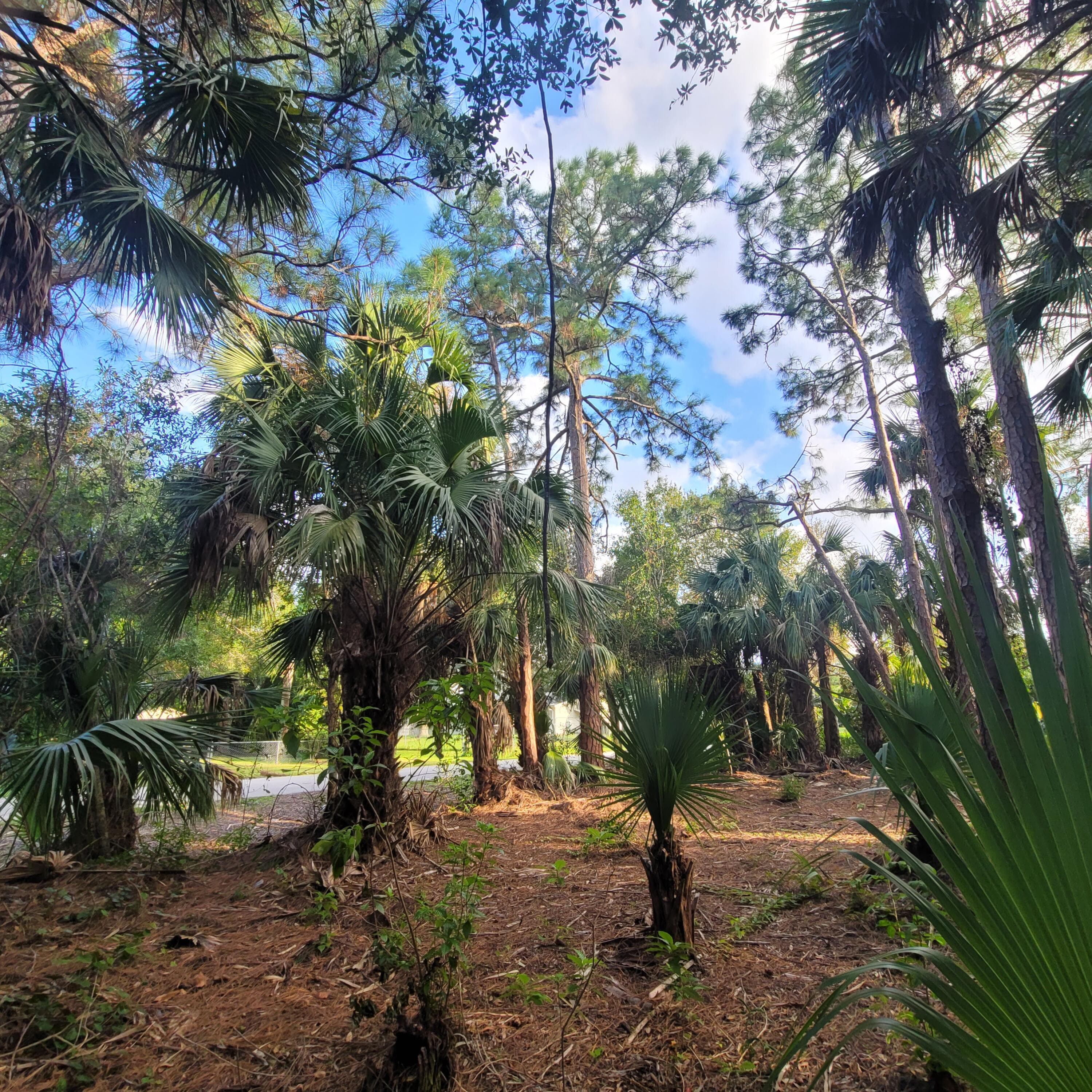 8501 N Pennylane, Fort Pierce, FL 34951 — photo 15 of 18
