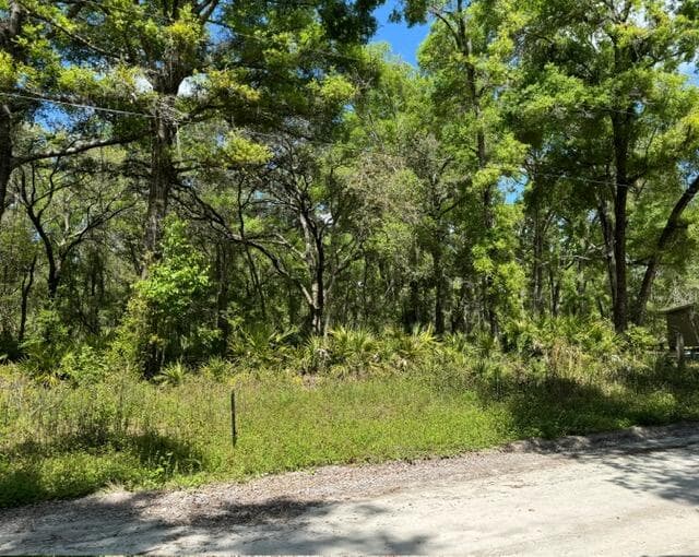 Tbd NE 472nd Avenue, Old Town, FL 32680 — photo 1 of 1
