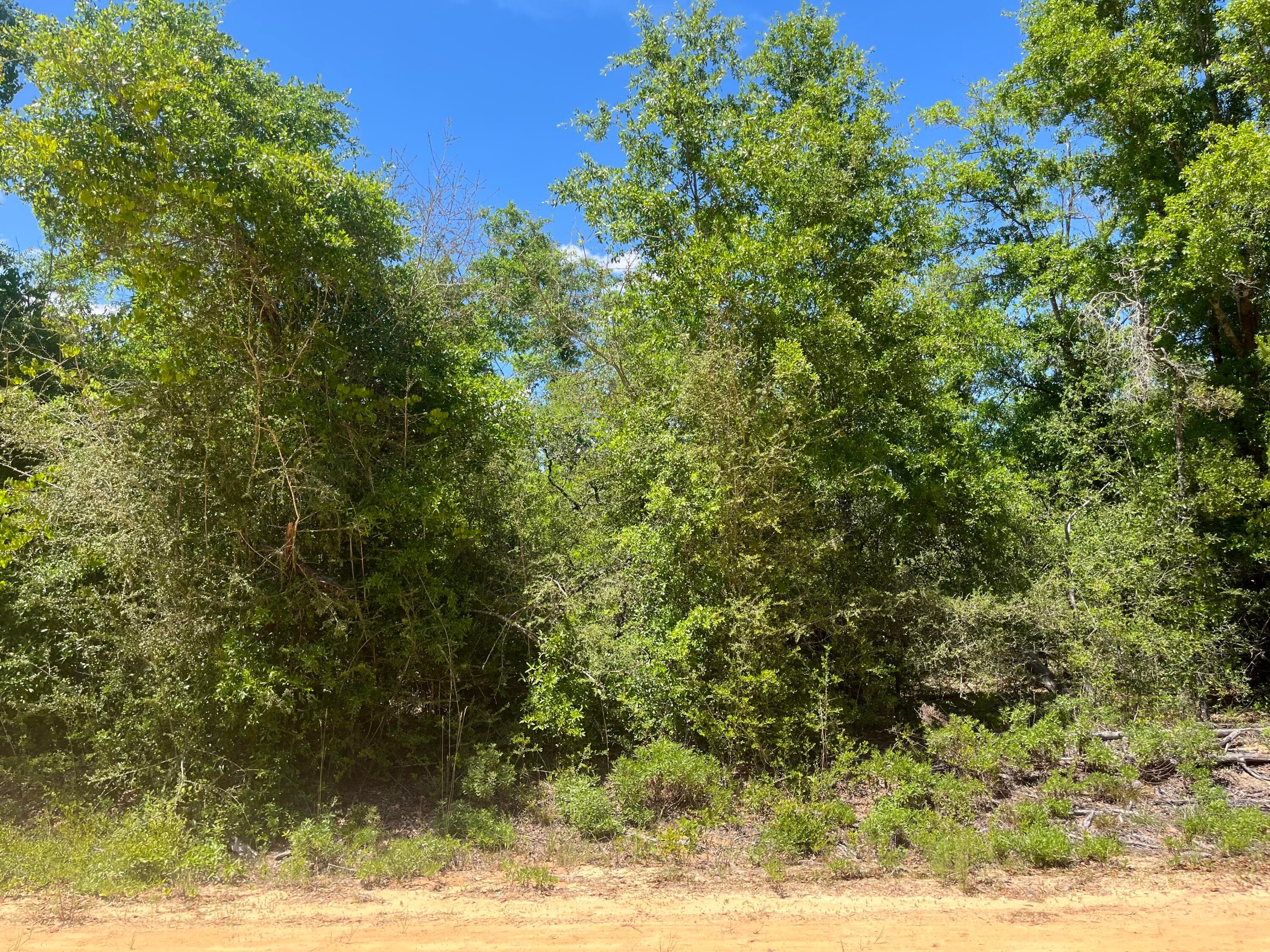 0 Hocking Street, Alford, FL 32420 — photo