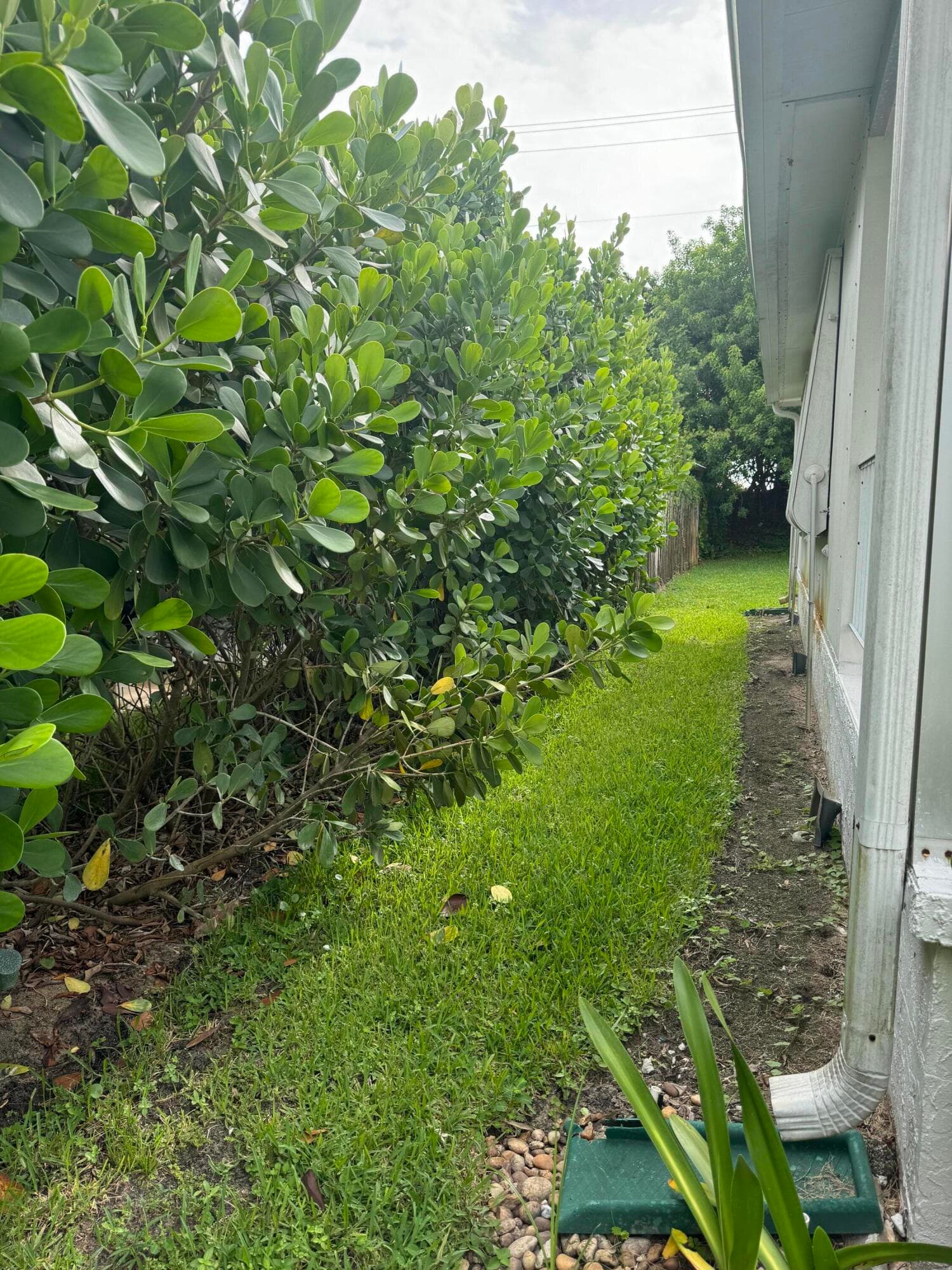 8051 SE Homestead Avenue, Hobe Sound, FL 33455 — photo 5 of 26