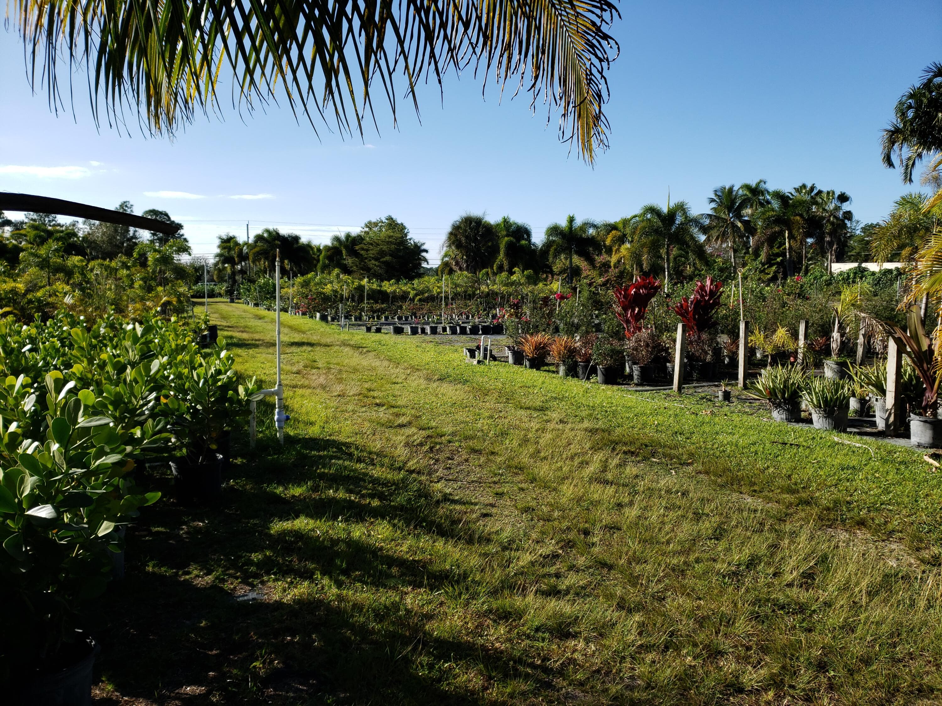 14375 Okeechobee Boulevard, Loxahatchee Groves, FL 33470 — photo 2 of 6