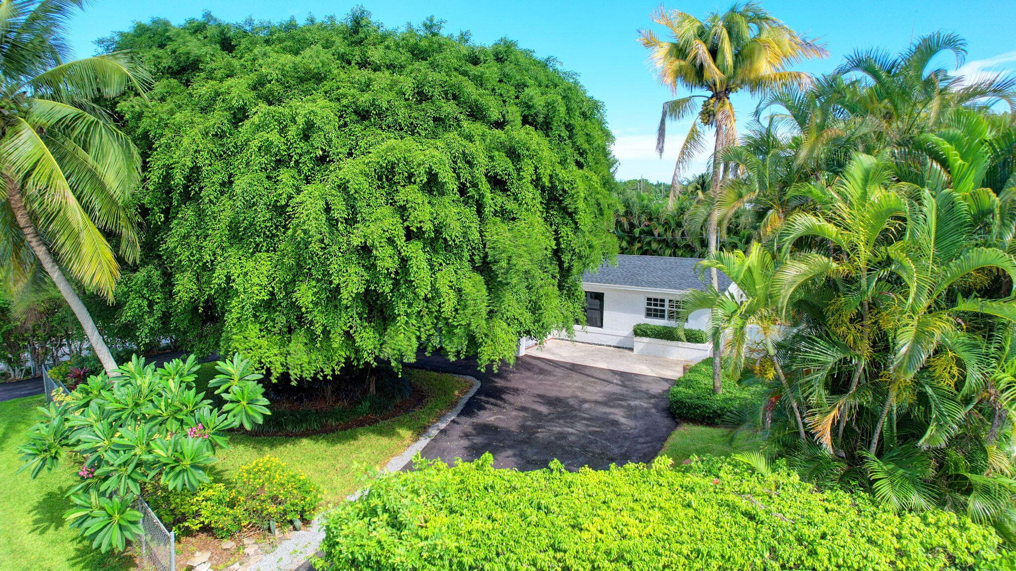 2478 Kentucky Street, West Palm Beach, FL 33406 — photo 58 of 65