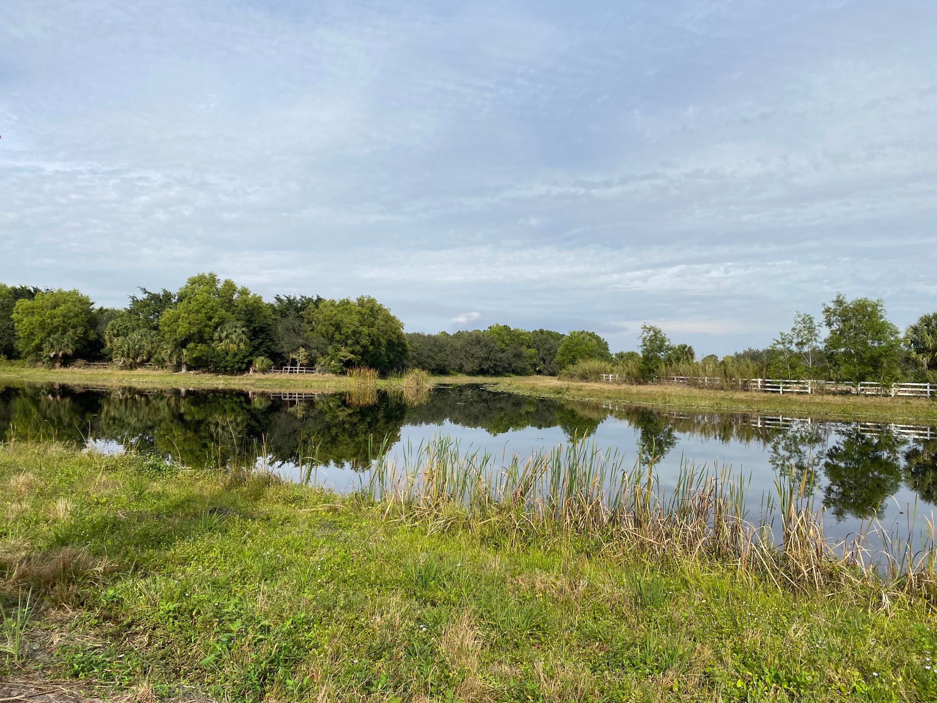 17755 Fox Trail Lane, Loxahatchee, FL 33470 — photo 4 of 18