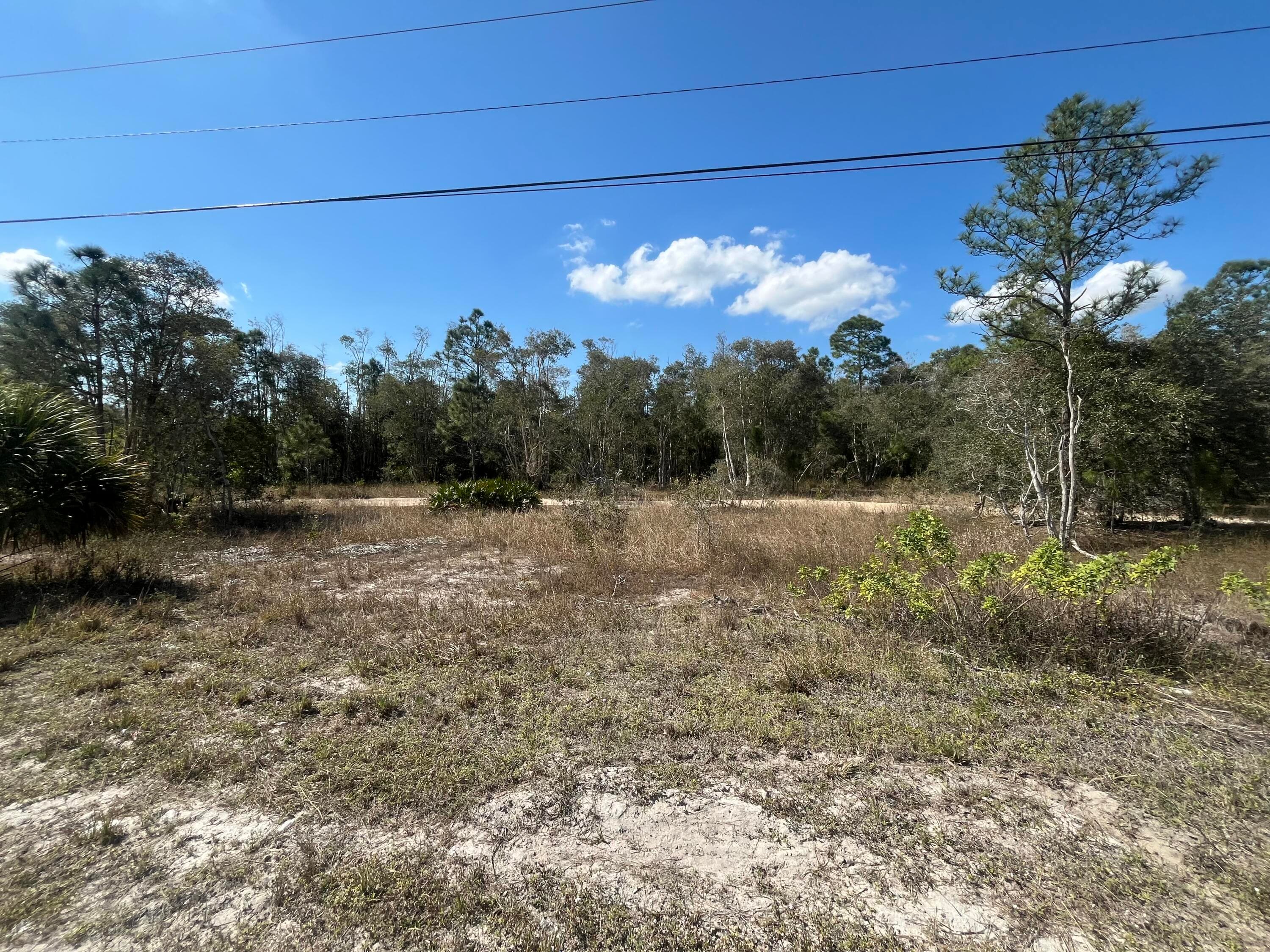 494 Burrstone Drive, Lehigh Acres, FL 33974 — photo 3 of 8