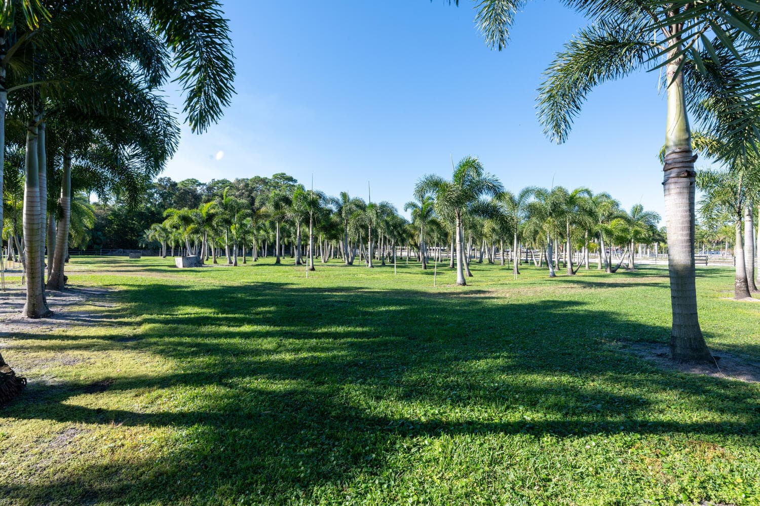 13528 N 6th Court N, Loxahatchee Groves, FL 33470 — photo 13 of 33