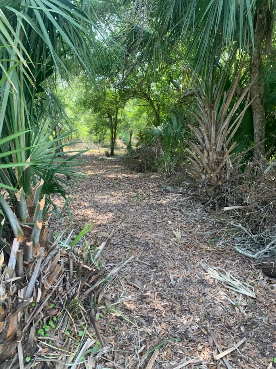 17774 NW 254th Street, Okeechobee, FL 34972 — photo 15 of 17