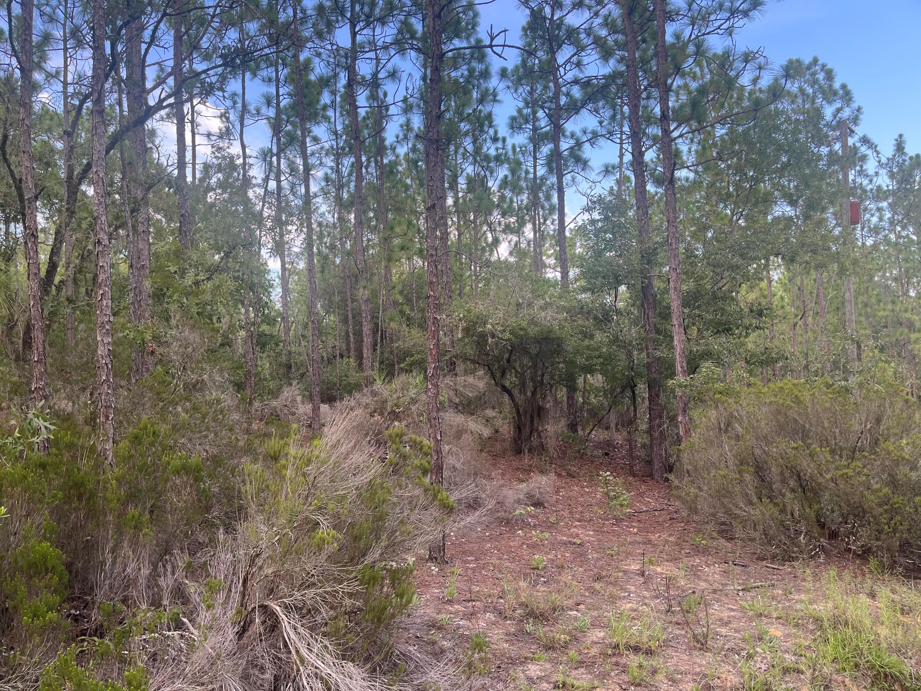 124 New York Avenue, Interlachen, FL 32148 — photo 4 of 9