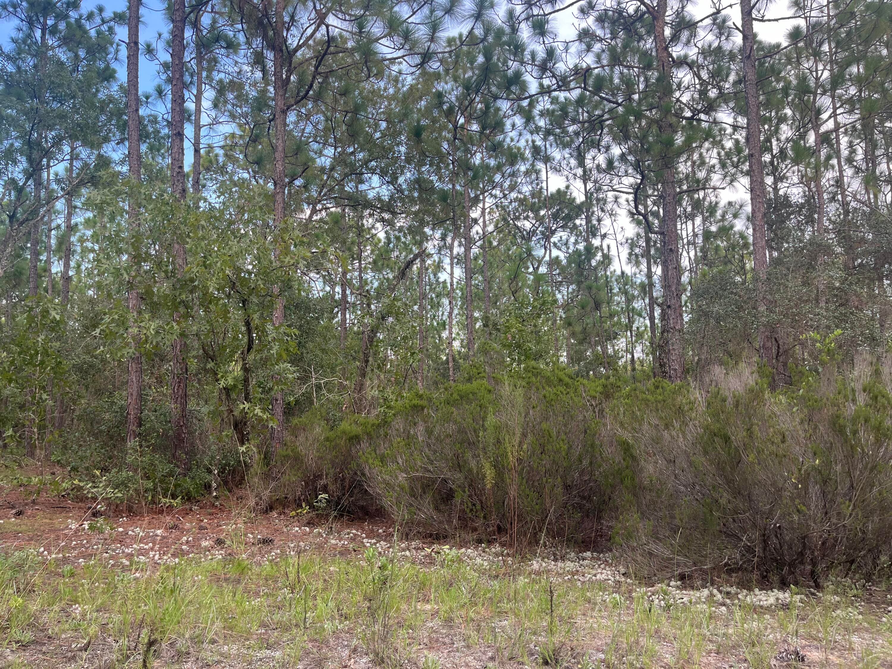 124 New York Avenue, Interlachen, FL 32148 — photo 7 of 9