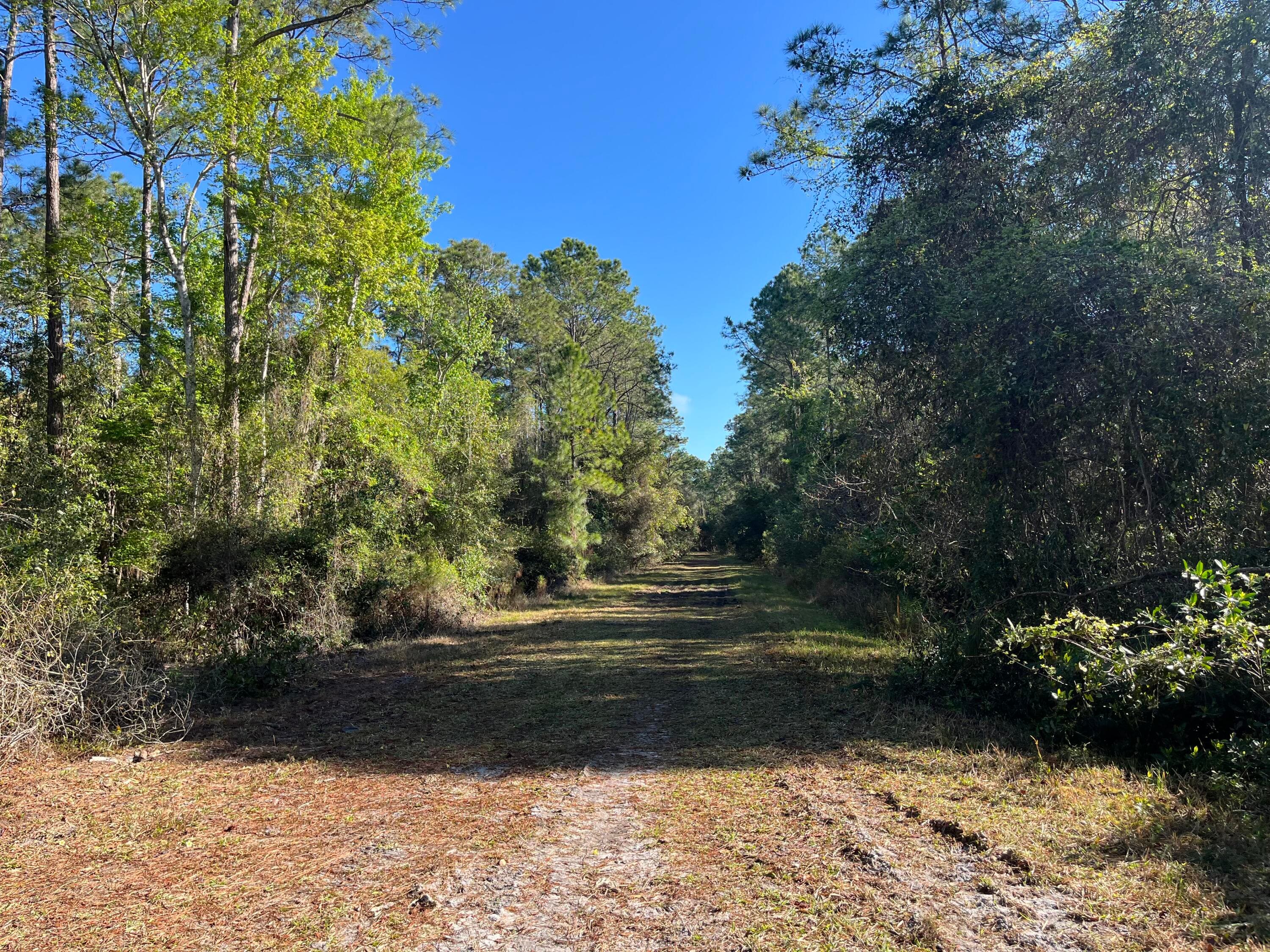 208 SE 3rd Street, Georgetown, FL 32139 — photo 2 of 5