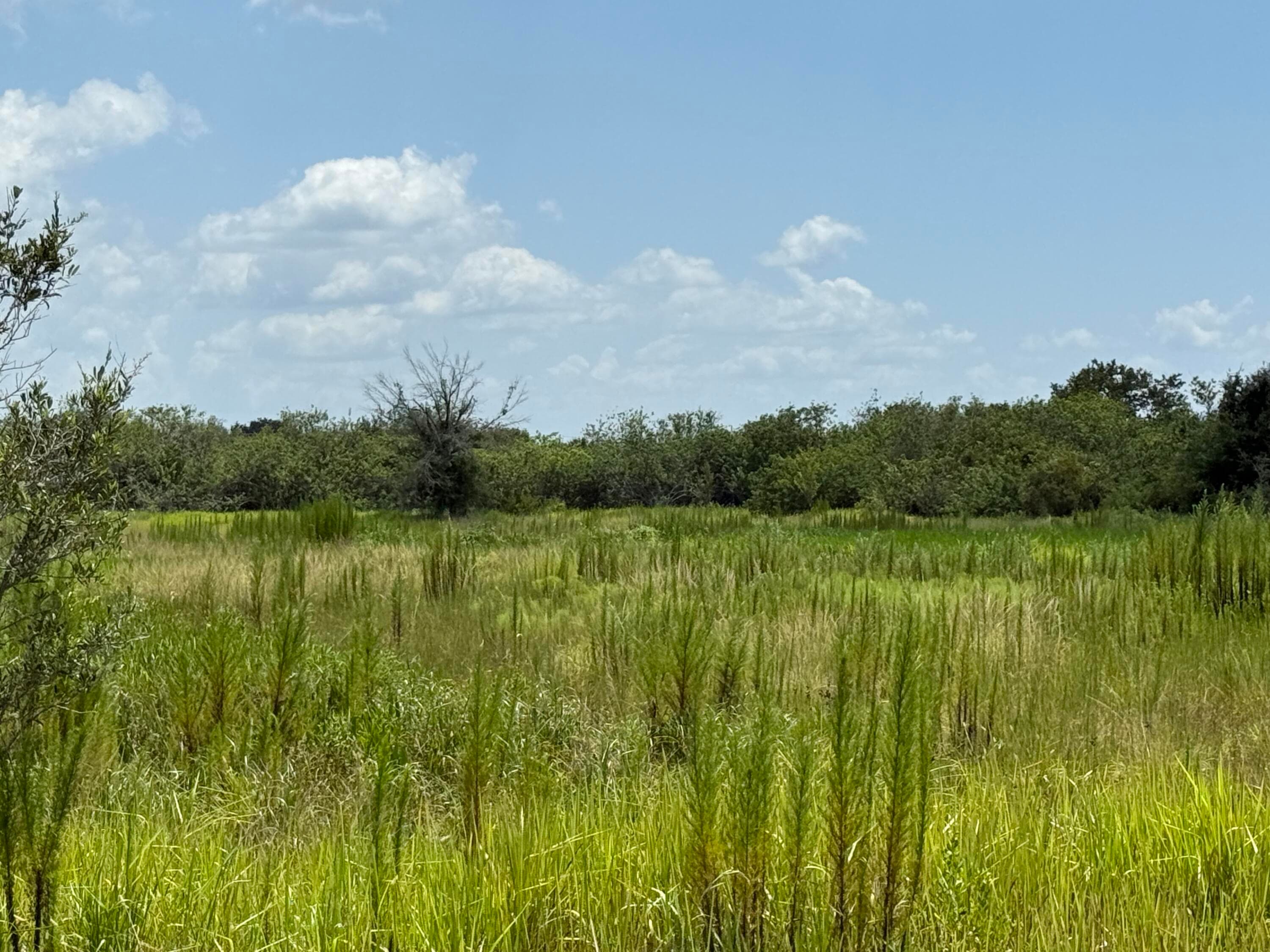 305 Fawn Trail Street, Palm Bay, FL 32909 — photo 8 of 20