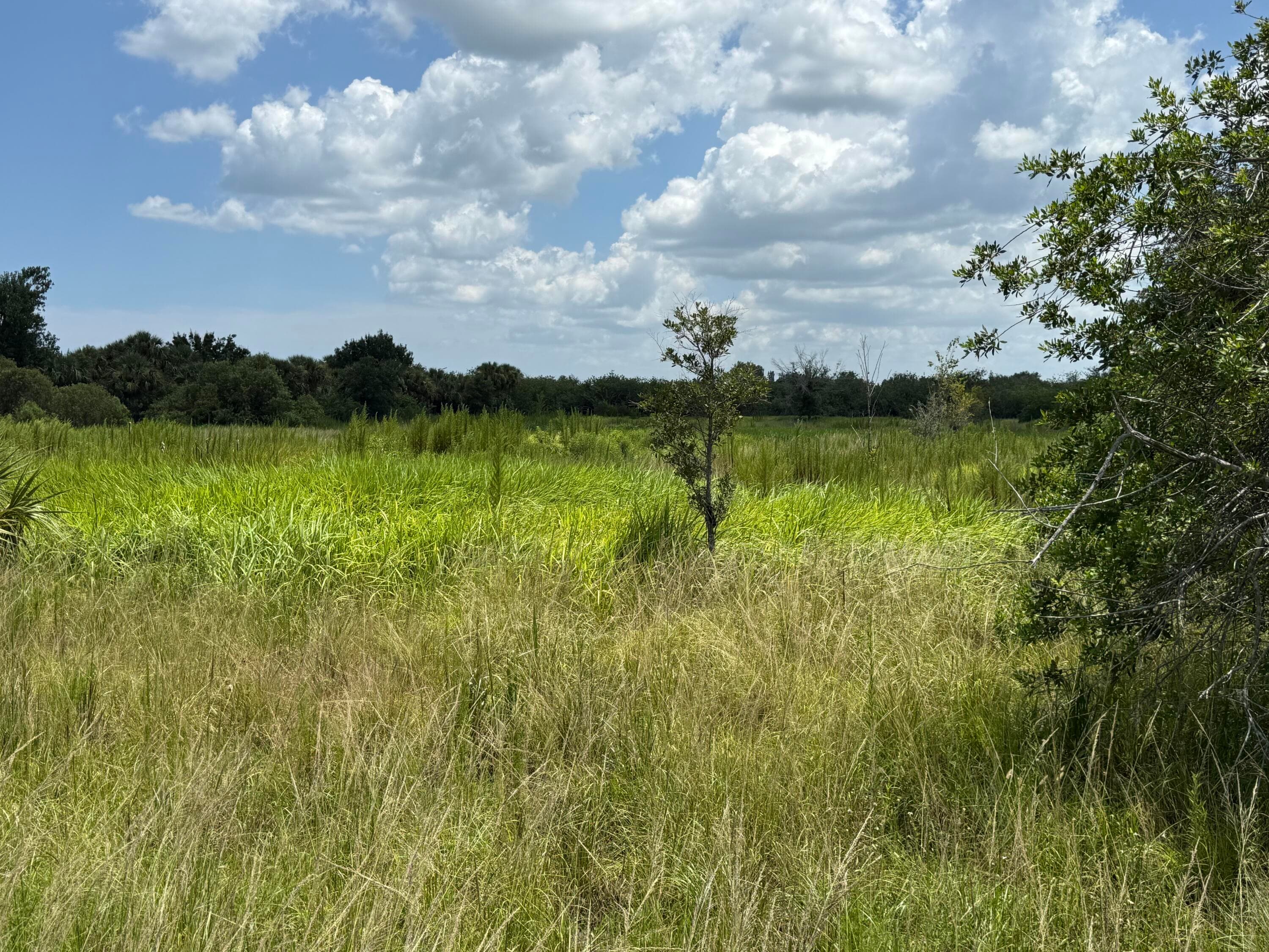 305 Fawn Trail Street, Palm Bay, FL 32909 — photo 13 of 20