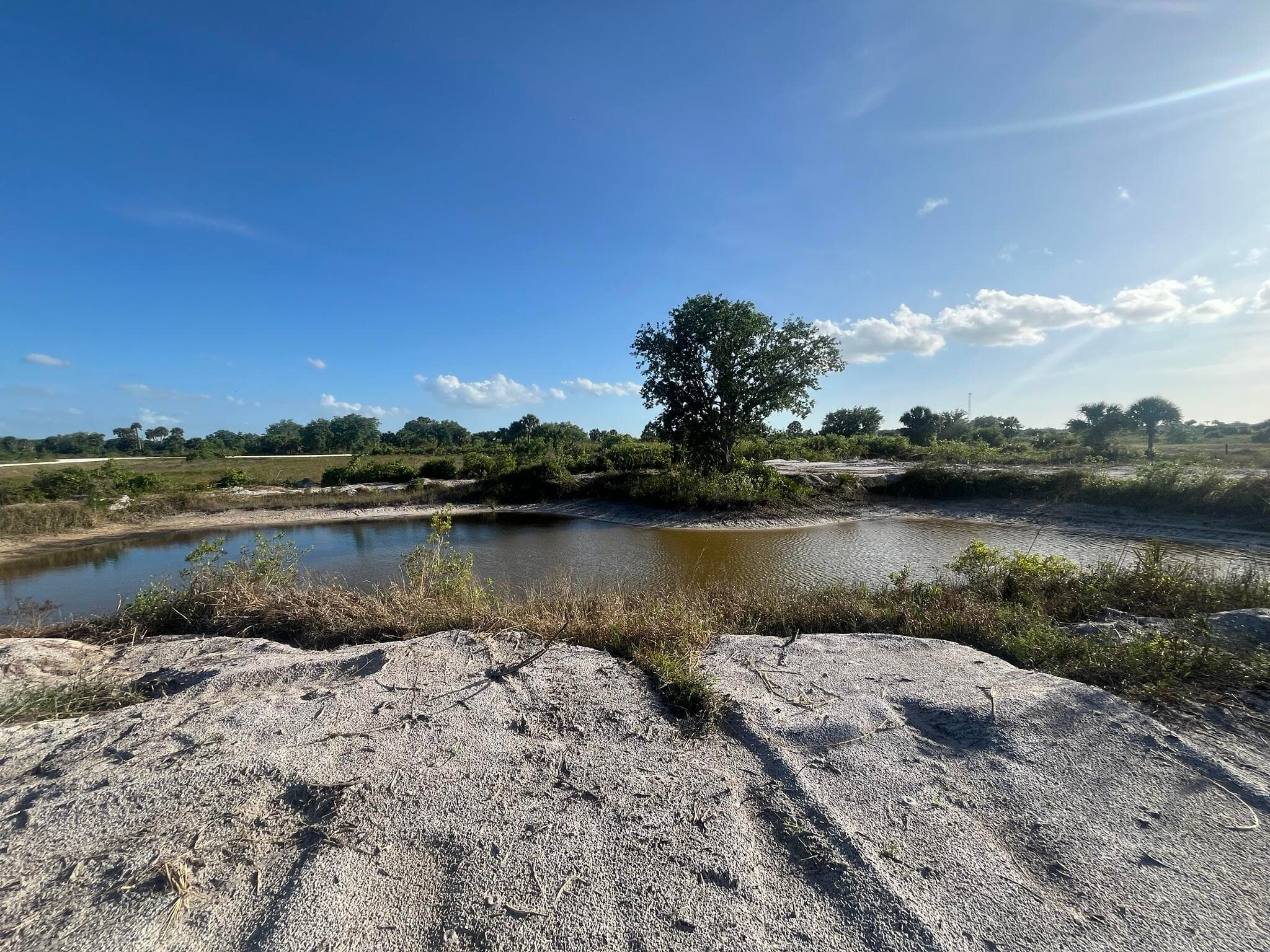 16058 NW 290th Street, Okeechobee, FL 34972 — photo 4 of 16