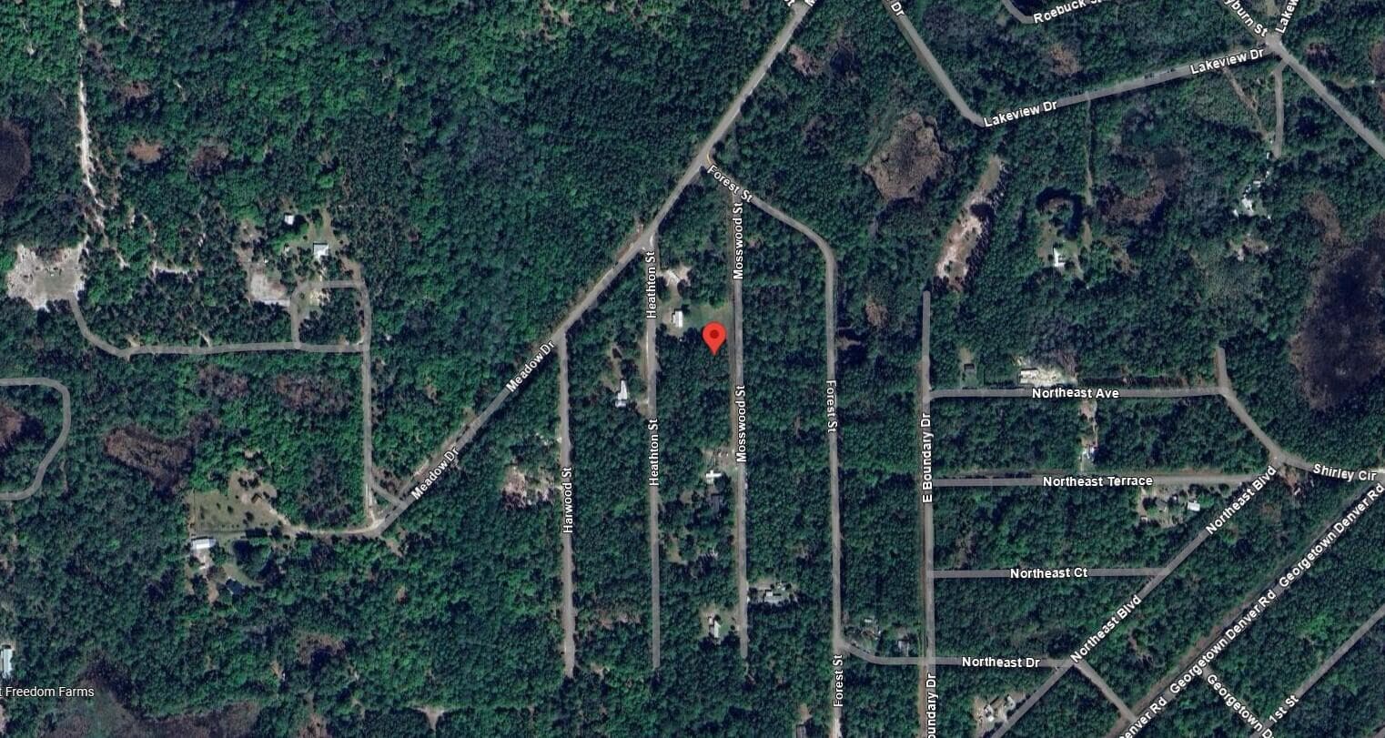 117 Mosswood Street, Georgetown, FL 32139 — photo 6 of 8