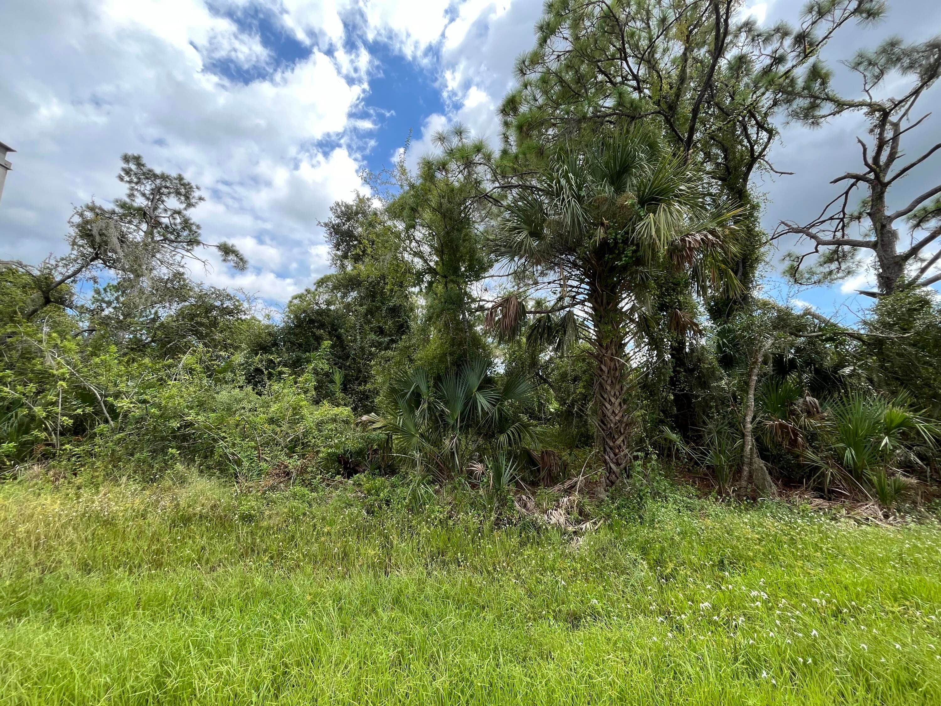 15501 Whitehall Avenue, Port Charlotte, FL 33953 — photo 3 of 16
