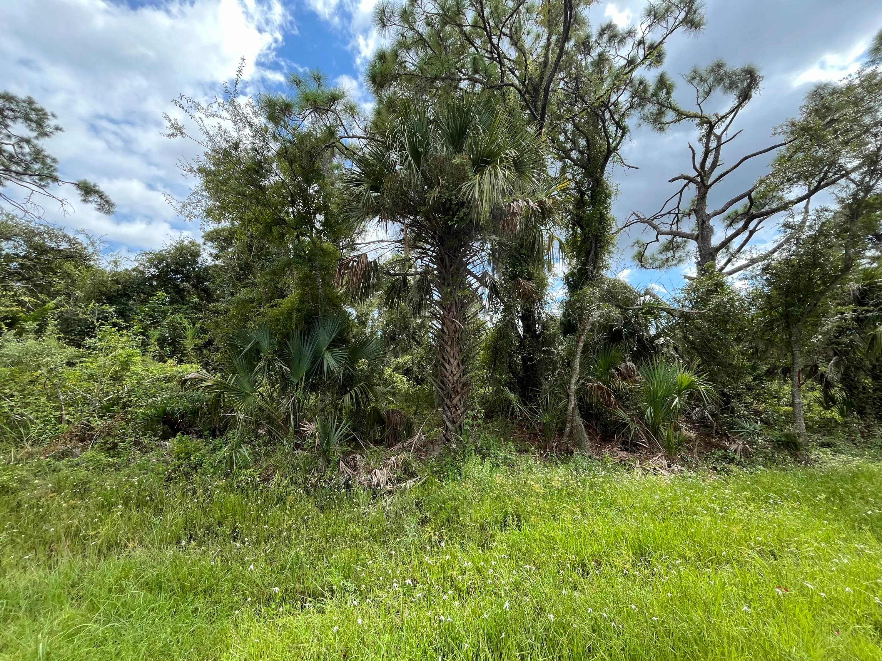 15501 Whitehall Avenue, Port Charlotte, FL 33953 — photo 5 of 16