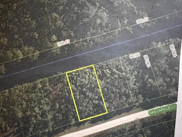 1123 Greenfield Street, Lake Placid, FL 33852 — photo 2 of 11