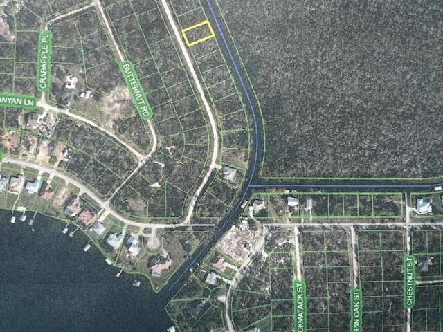 1123 Greenfield Street, Lake Placid, FL 33852 — photo 11 of 11