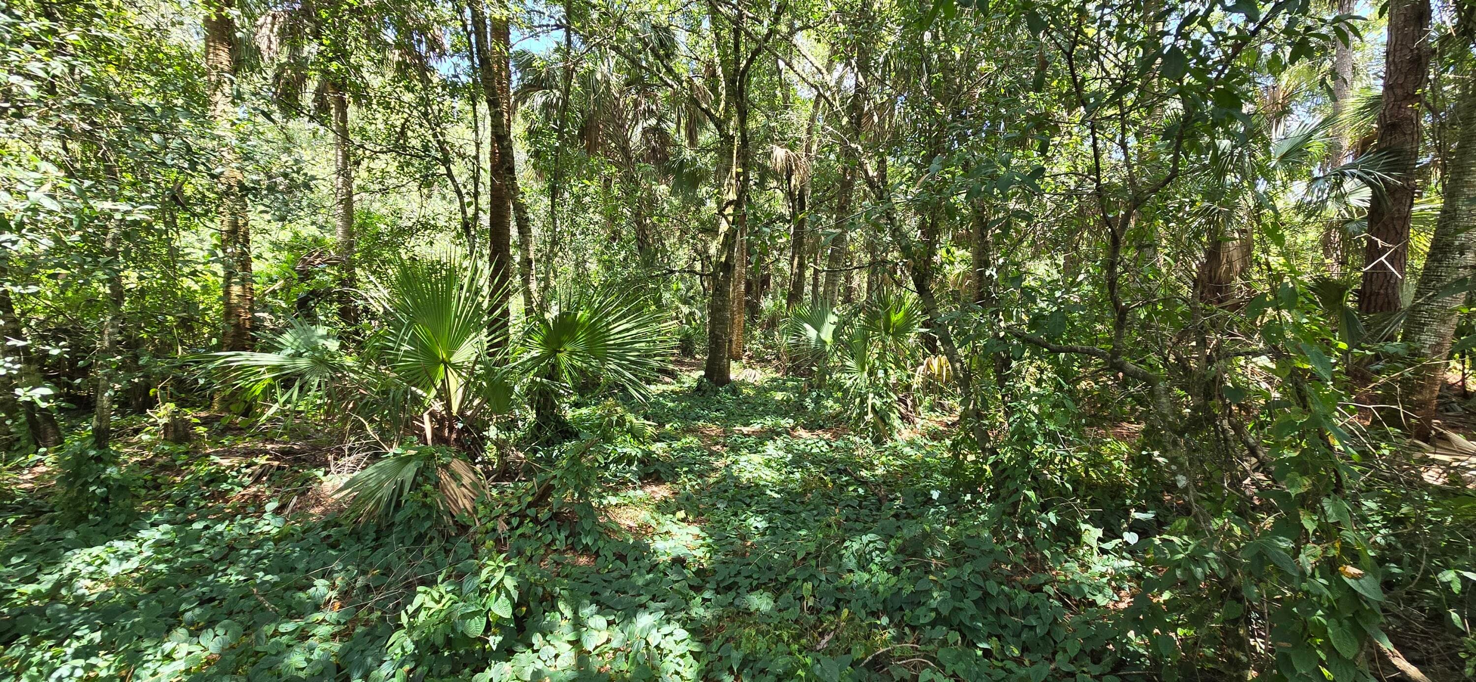 100 NW 38th Avenue, Okeechobee, FL 34972 — photo 29 of 32