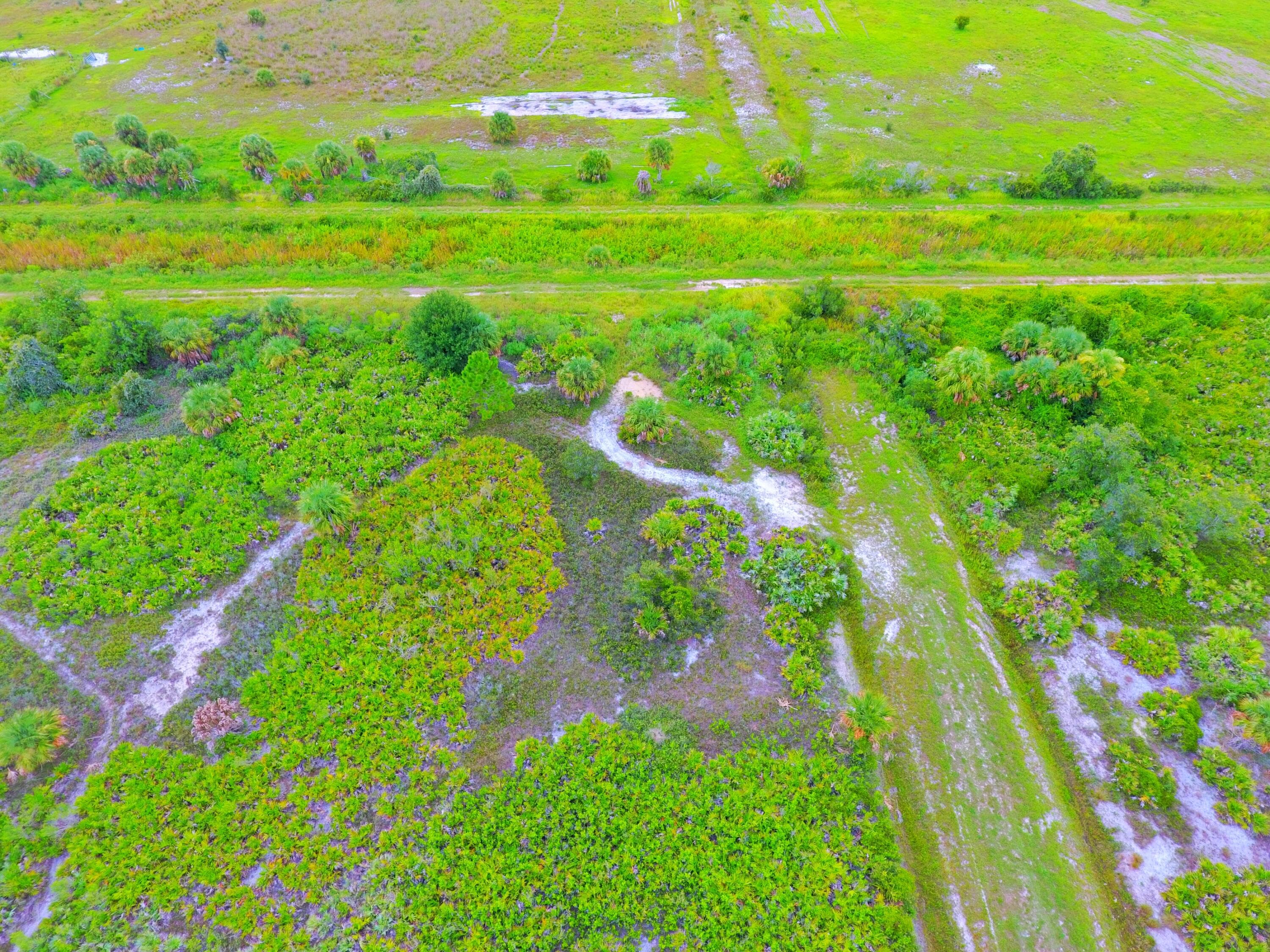 21594 NW 282nd Street, Okeechobee, FL 34972 — photo 4 of 6