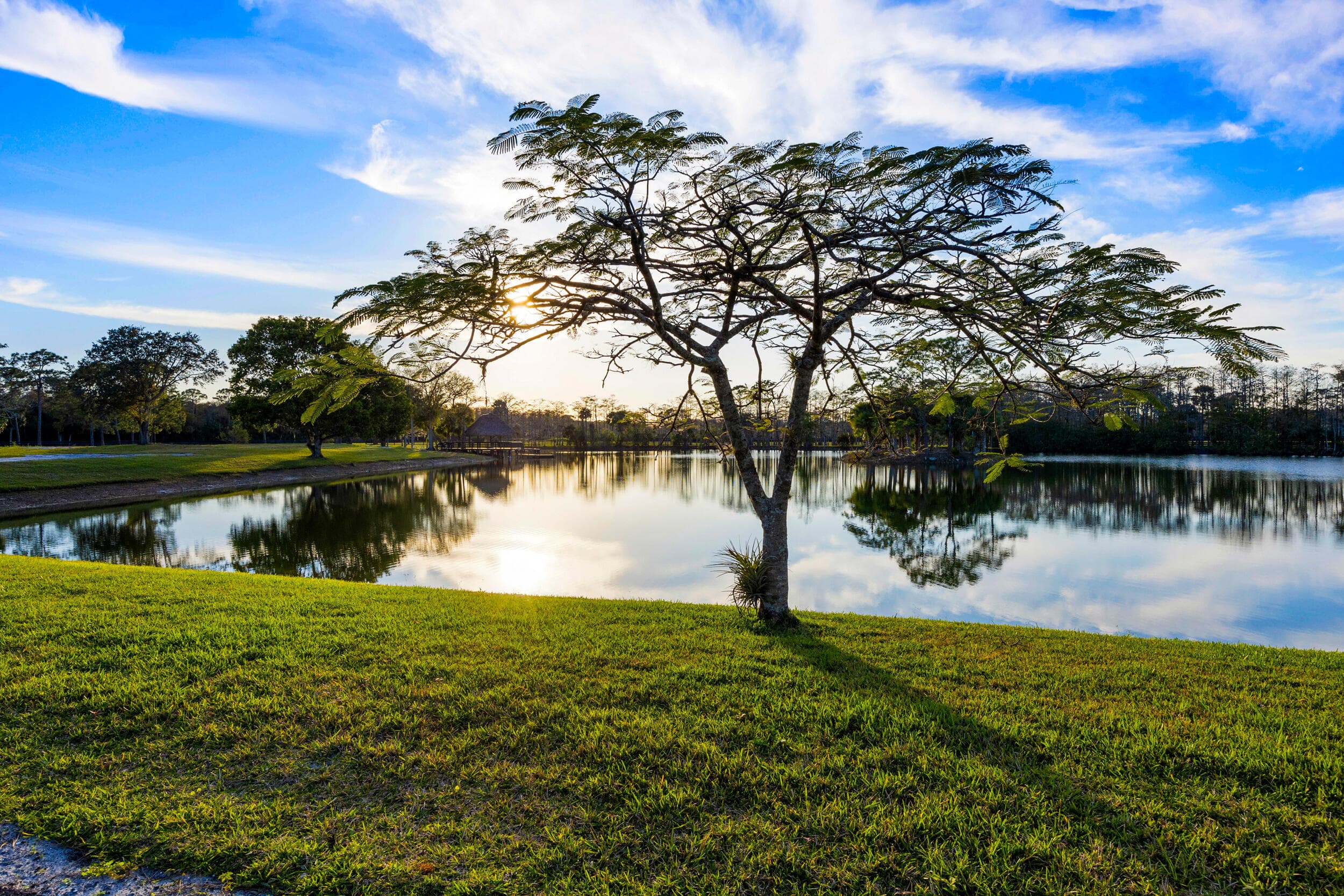 20000 SE Mack Dairy Road SE, Jupiter, FL 33478 — photo 19 of 36