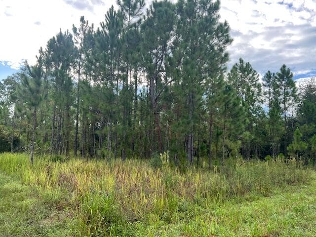 1137 Greenfield Street, Lake Placid, FL 33852 — photo 8 of 22
