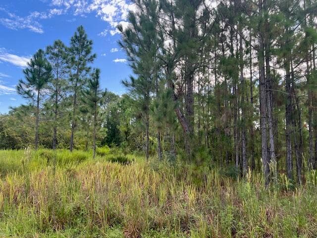 1137 Greenfield Street, Lake Placid, FL 33852 — photo 9 of 22
