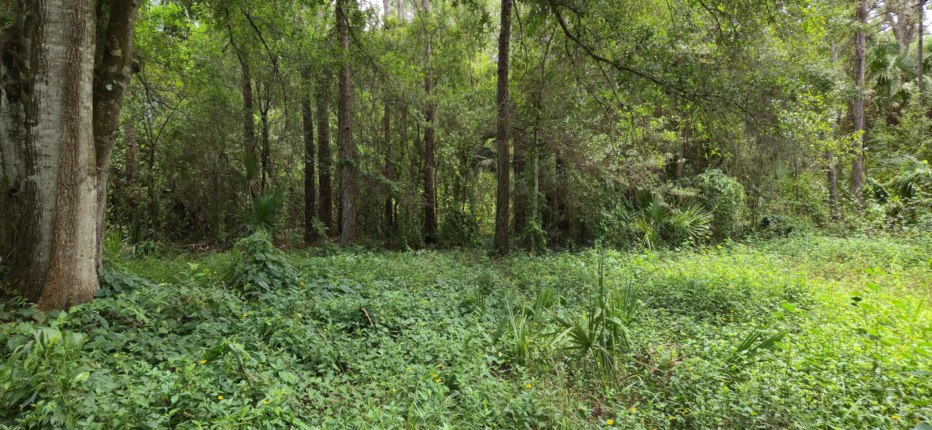 100 NW 38th Avenue, Okeechobee, FL 34972 — photo 28 of 32