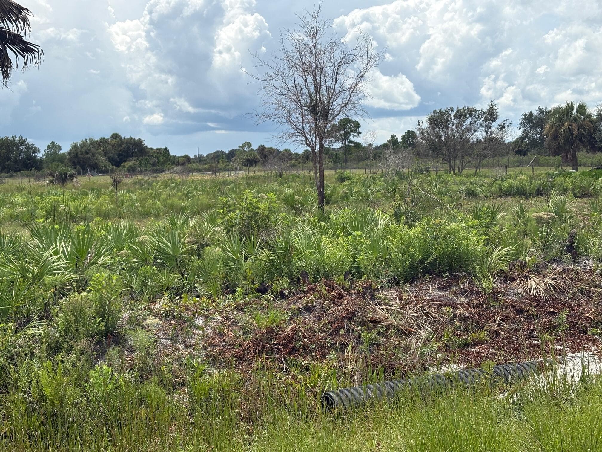 17982 NW 318th Street, Okeechobee, FL 34972 — photo 6 of 8