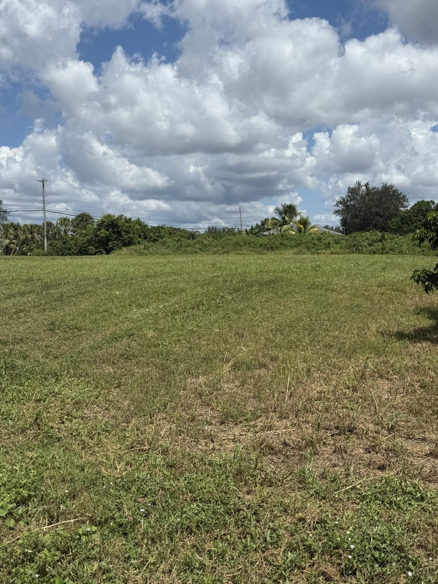 0 0 Mandarin Boulevard, The Acreage, FL 33470 — photo 3 of 4