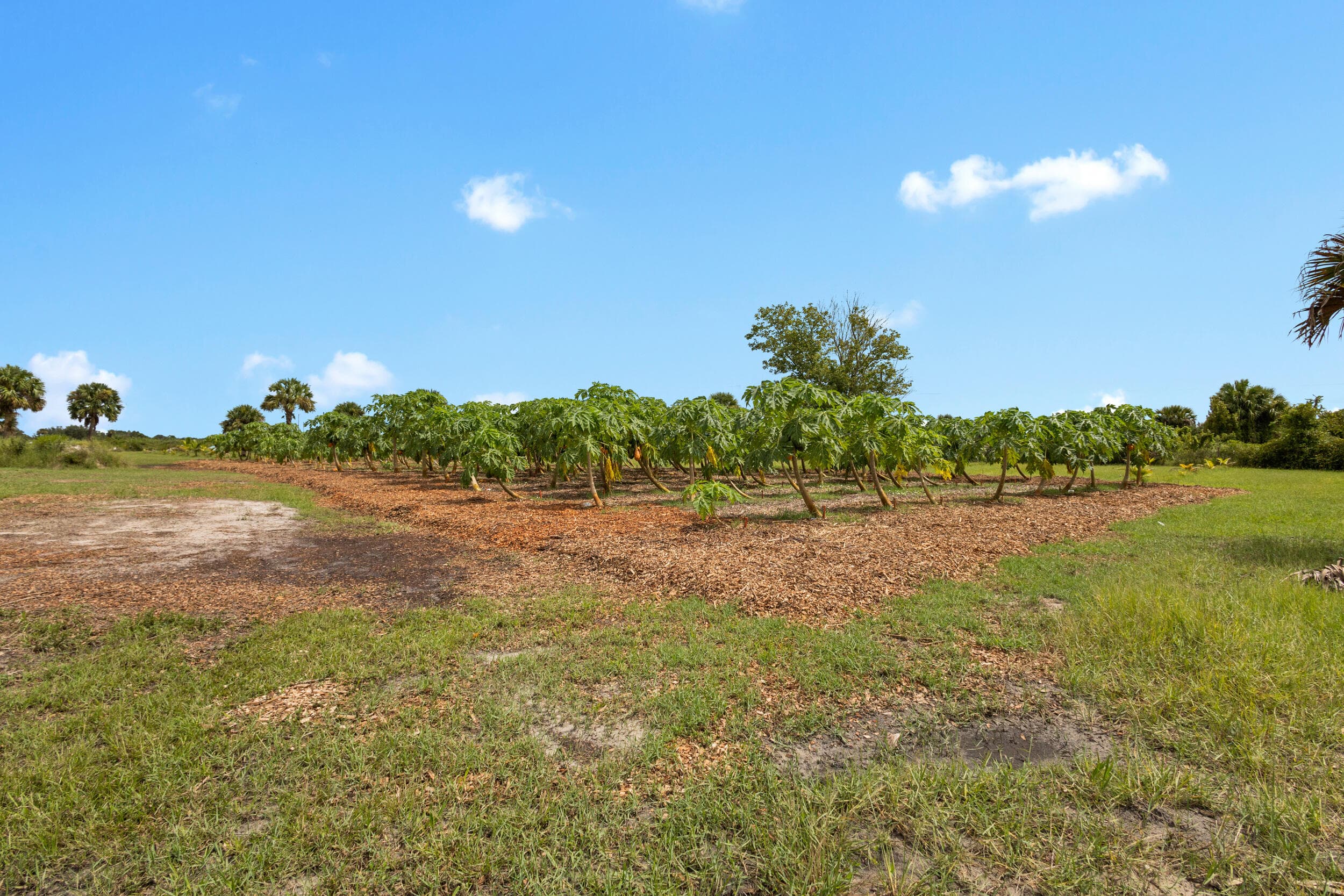 20914 NW 280th Street, Okeechobee, FL 34972 — photo 16 of 47