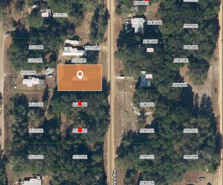 2 N Helmers Avenue, Interlachen, FL 32148 — photo 2 of 4