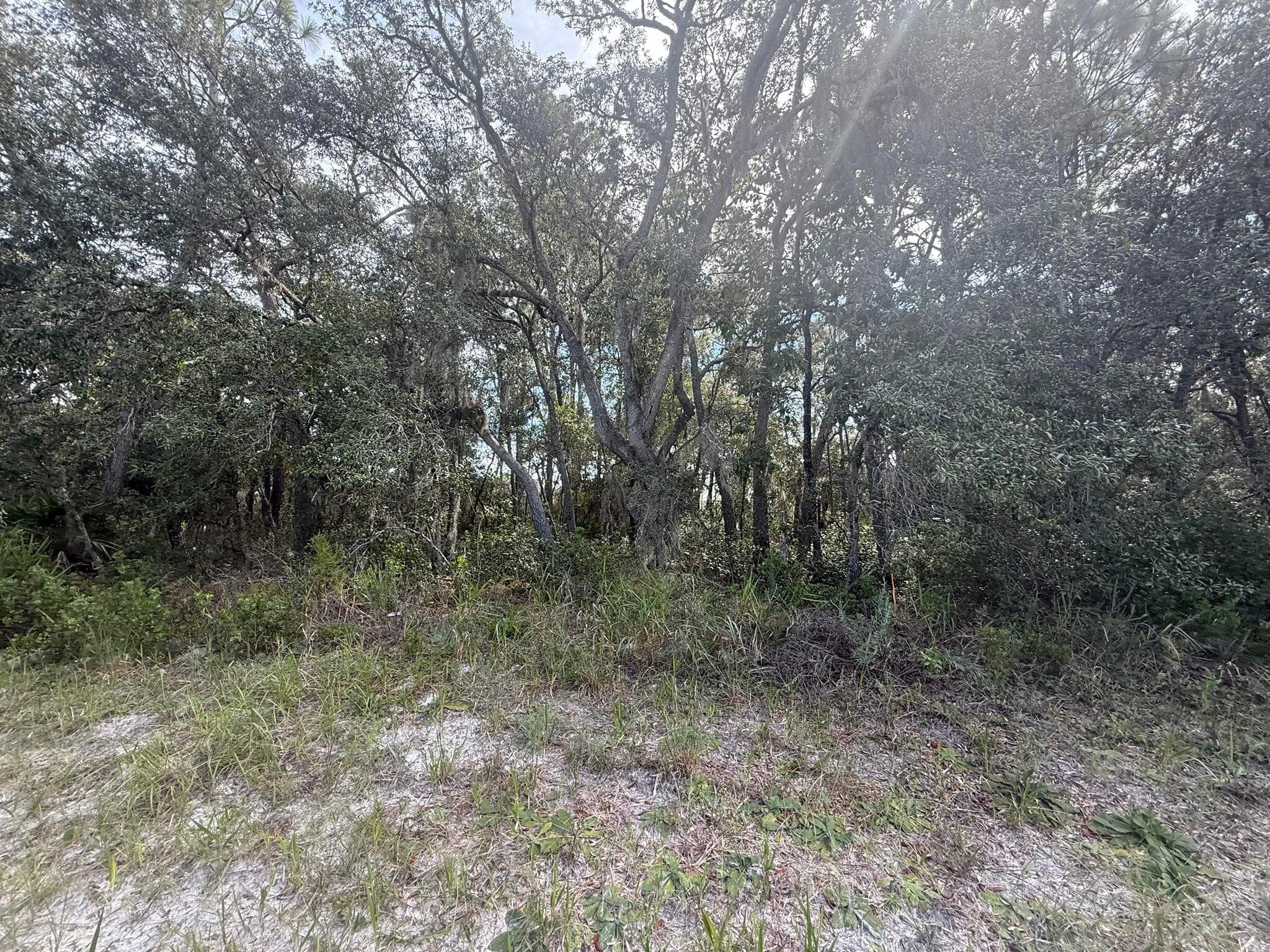 Tbd SW 146th Lane Road, Dunnellon, FL 34432 — photo 11 of 23