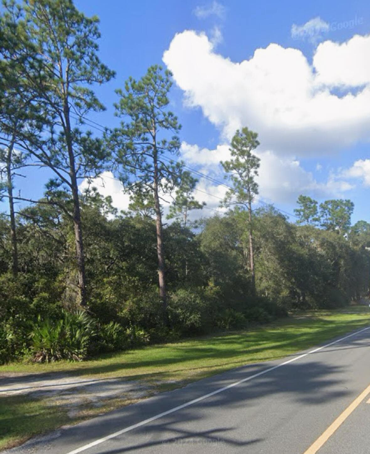 0 NE 315 Hwy, Fort McCoy, FL 32134 — photo
