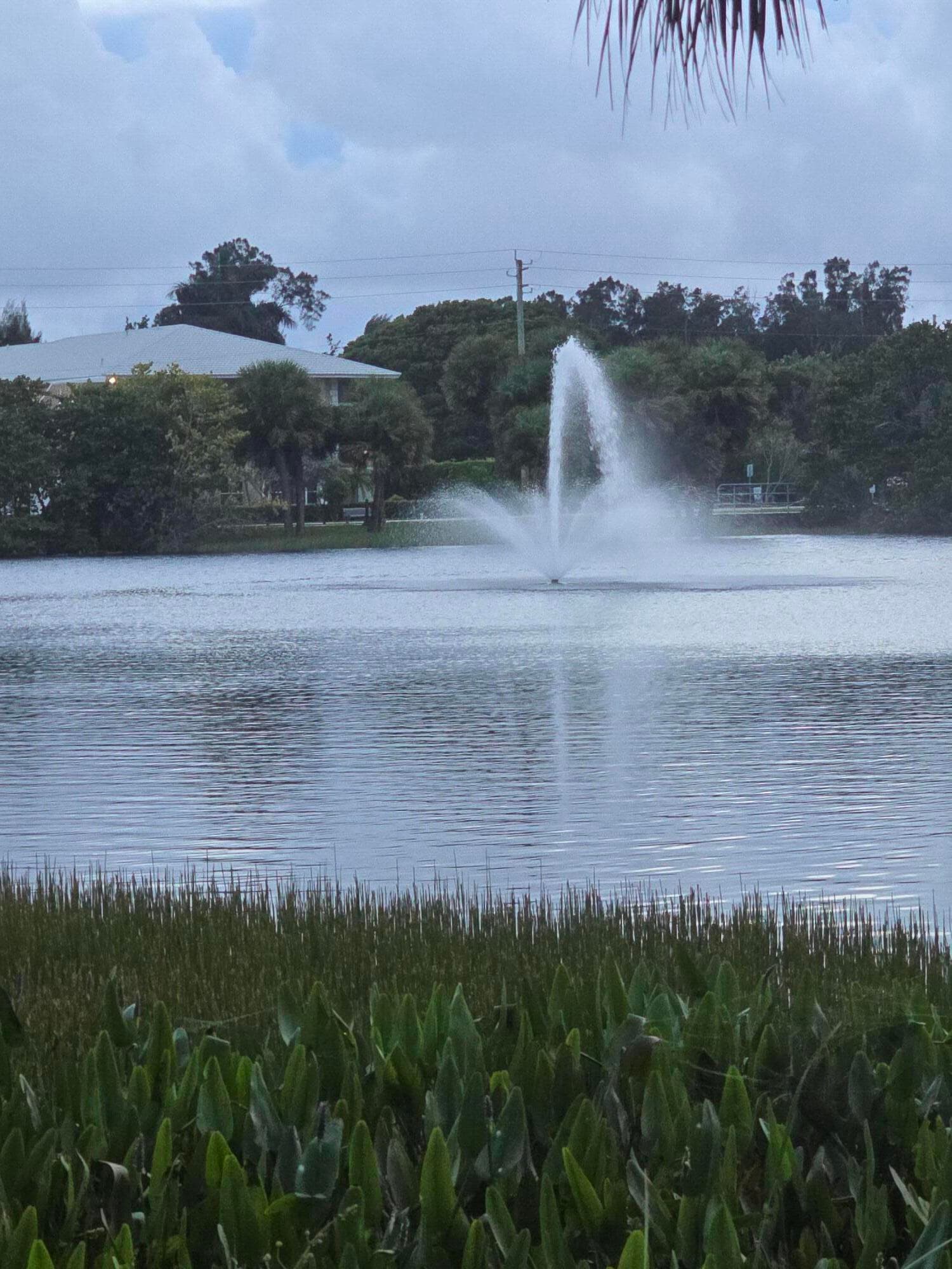 420 Celestial Way 204, Juno Beach, FL 33408 — photo 32 of 35