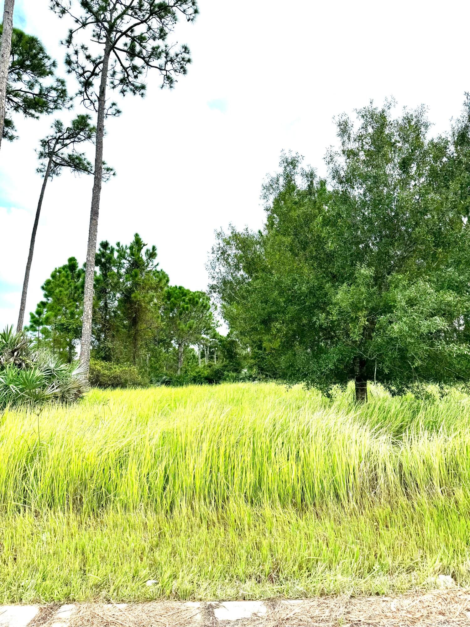 10615 Sugar Pine Drive, Fort Pierce, FL 34945 — photo 4 of 18