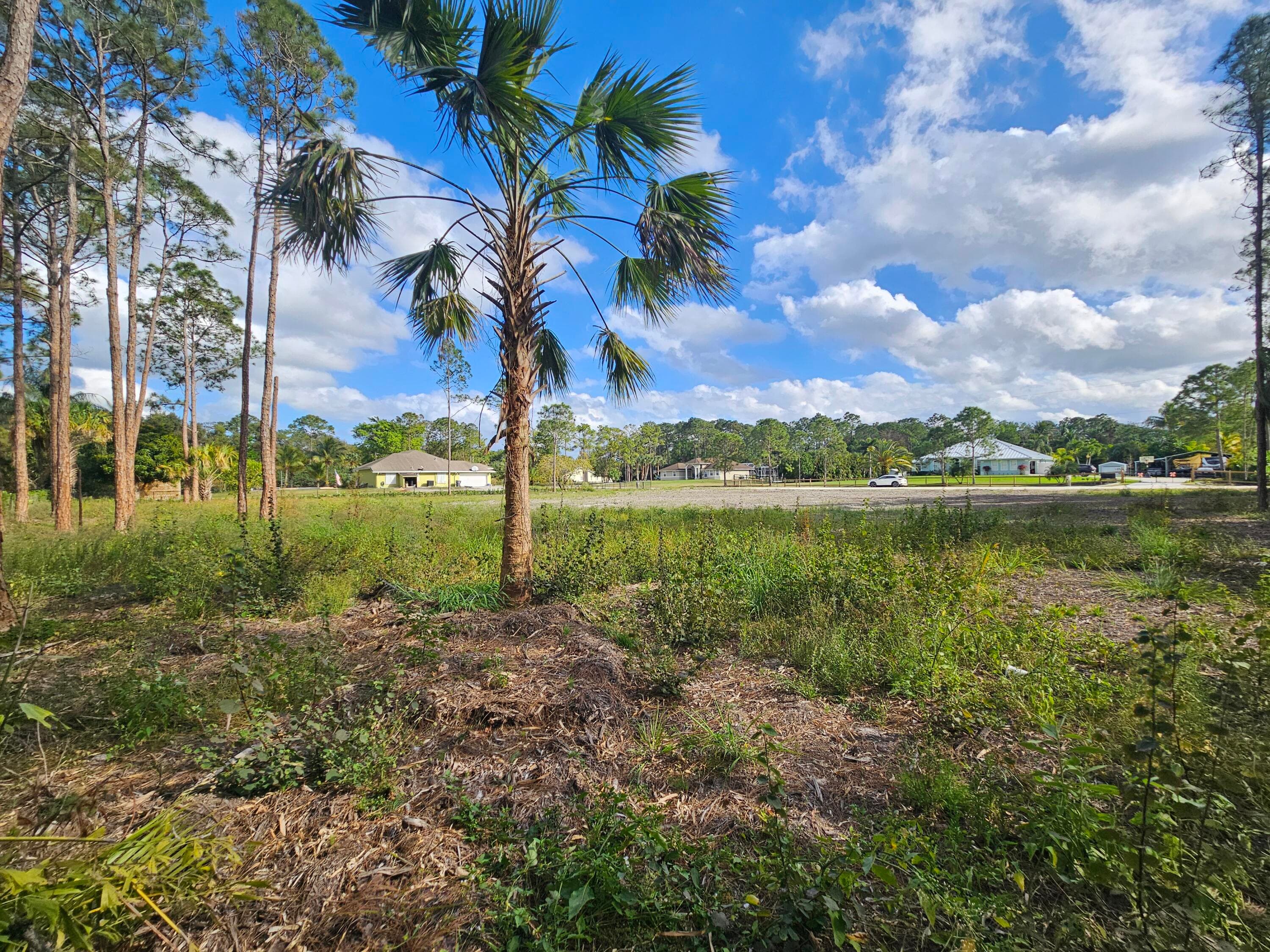 Xxxxx 82nd Lane N, The Acreage, FL 33470 — photo 14 of 19