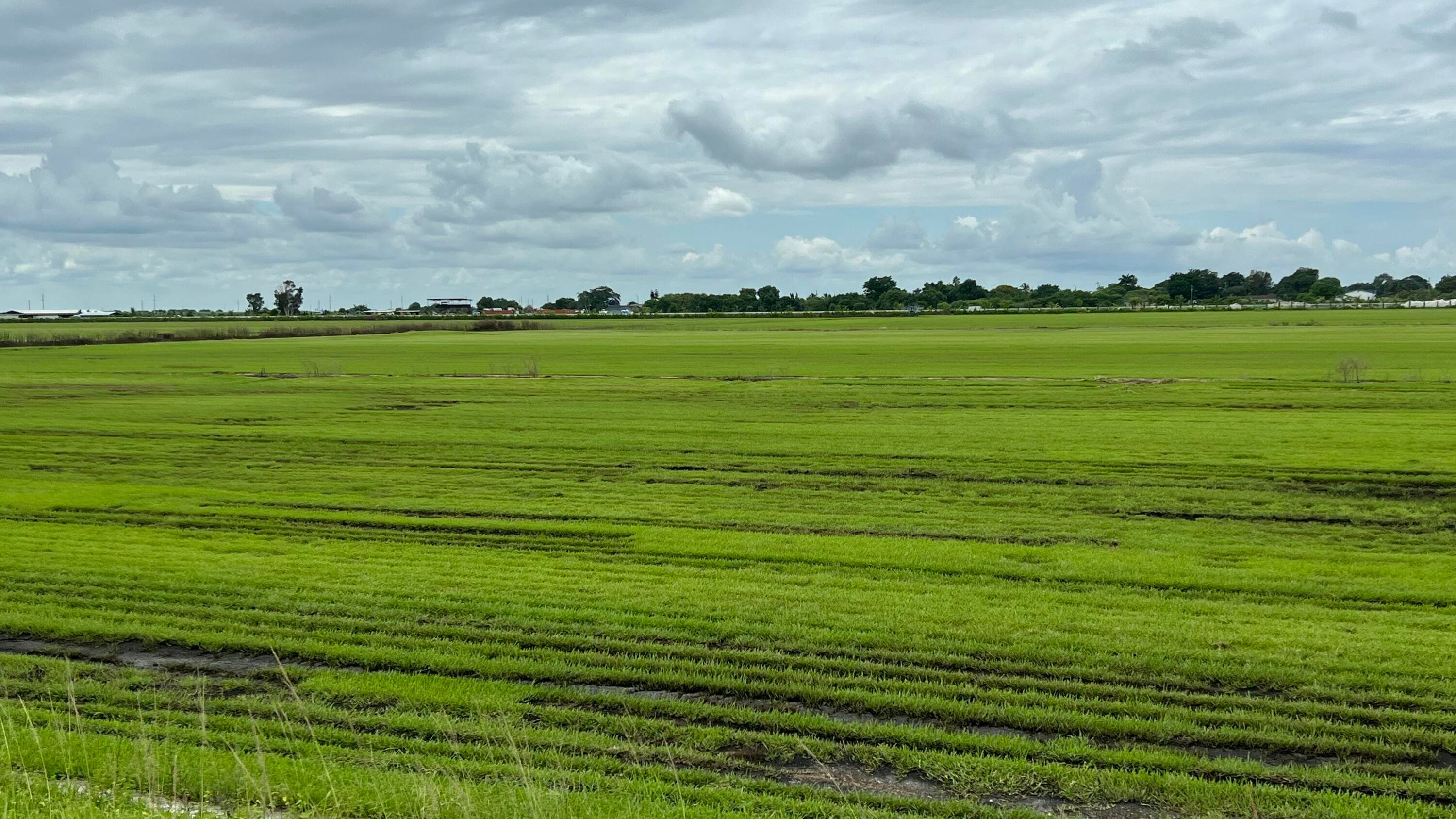 400 State Road 80, Belle Glade, FL 33430 — photo 1 of 2