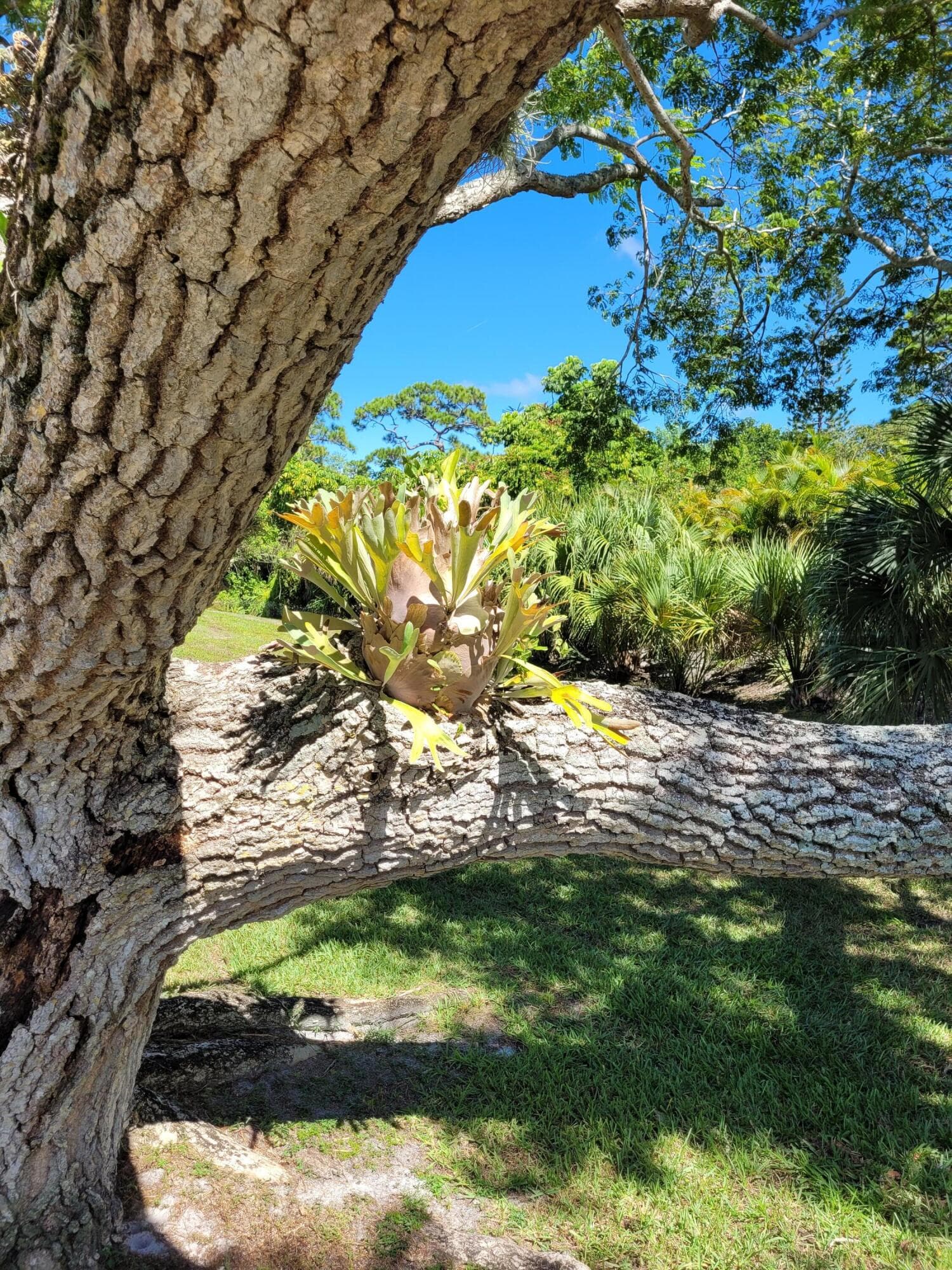 2950 SE Ocean Boulevard 134-5, Stuart, FL 34996 — photo 51 of 52